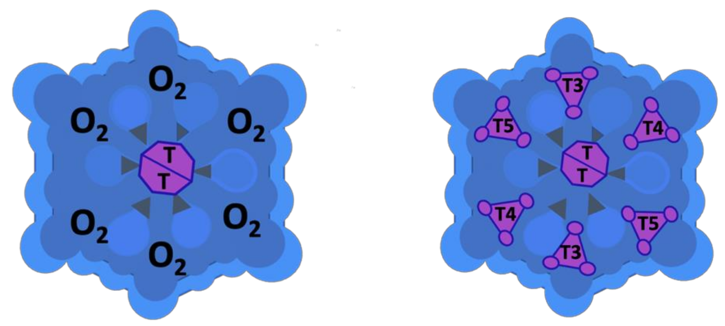 Marinedrugs 19 00376 g001 Marinedrugs 19 00376 g001