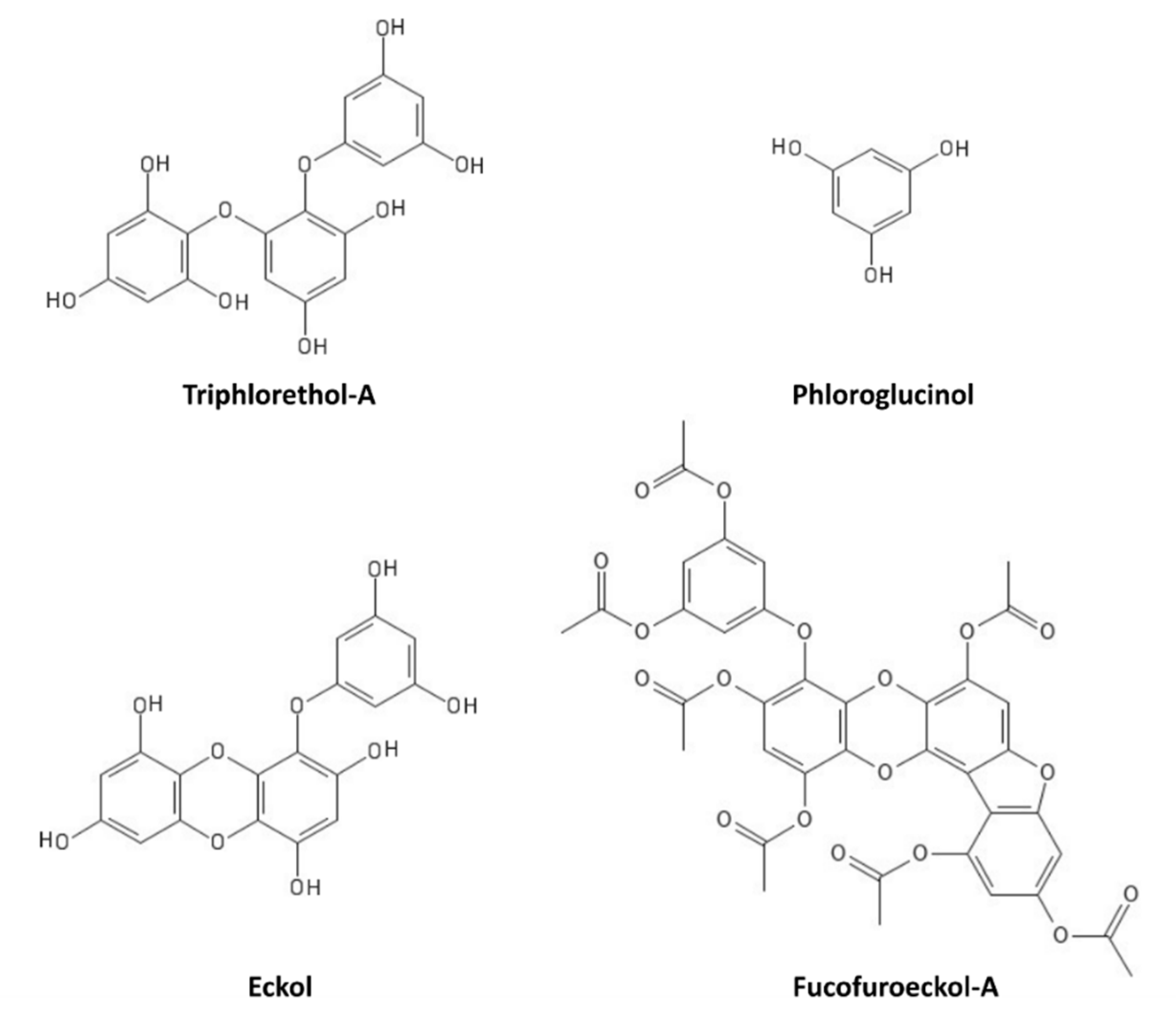 Marinedrugs 19 00379 g006 Marinedrugs 19 00379 g006