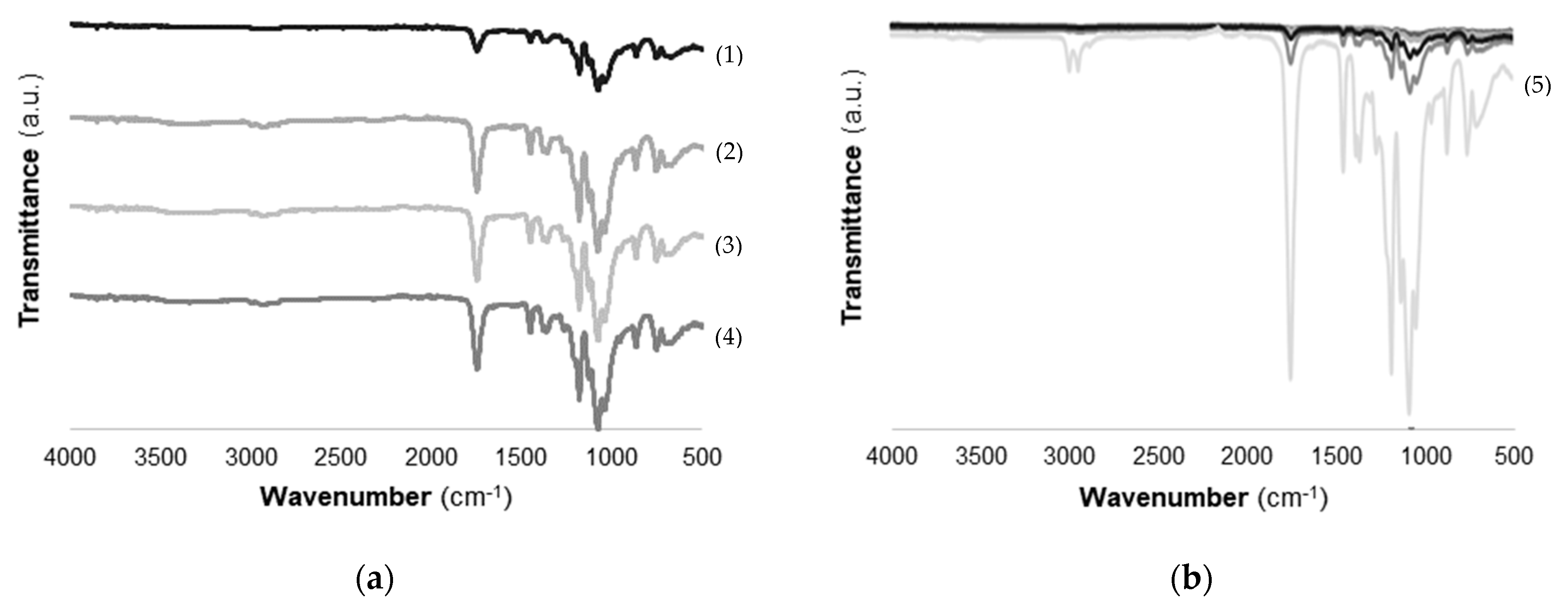 Marinedrugs 19 00384 g005