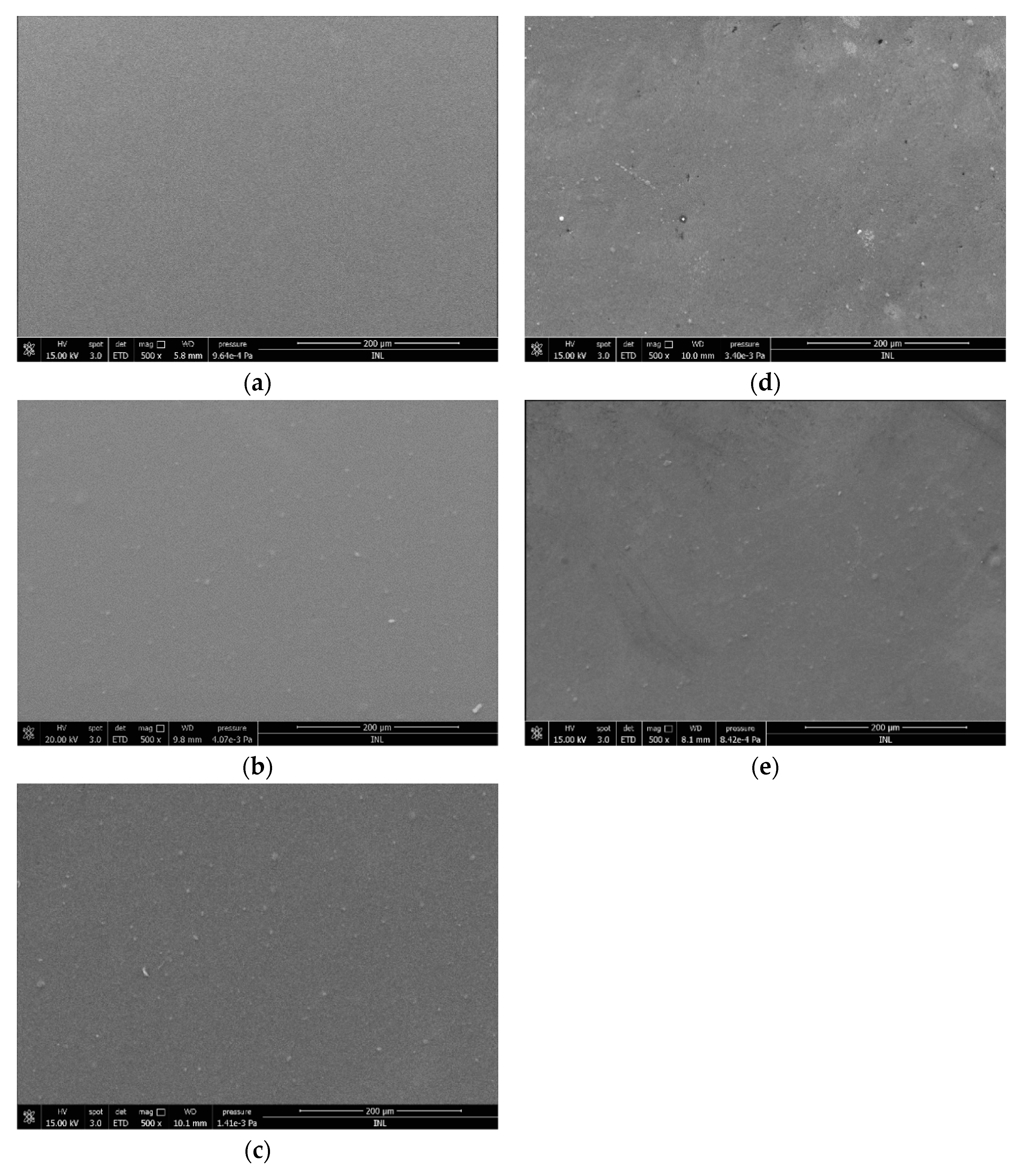 Marinedrugs 19 00384 g007