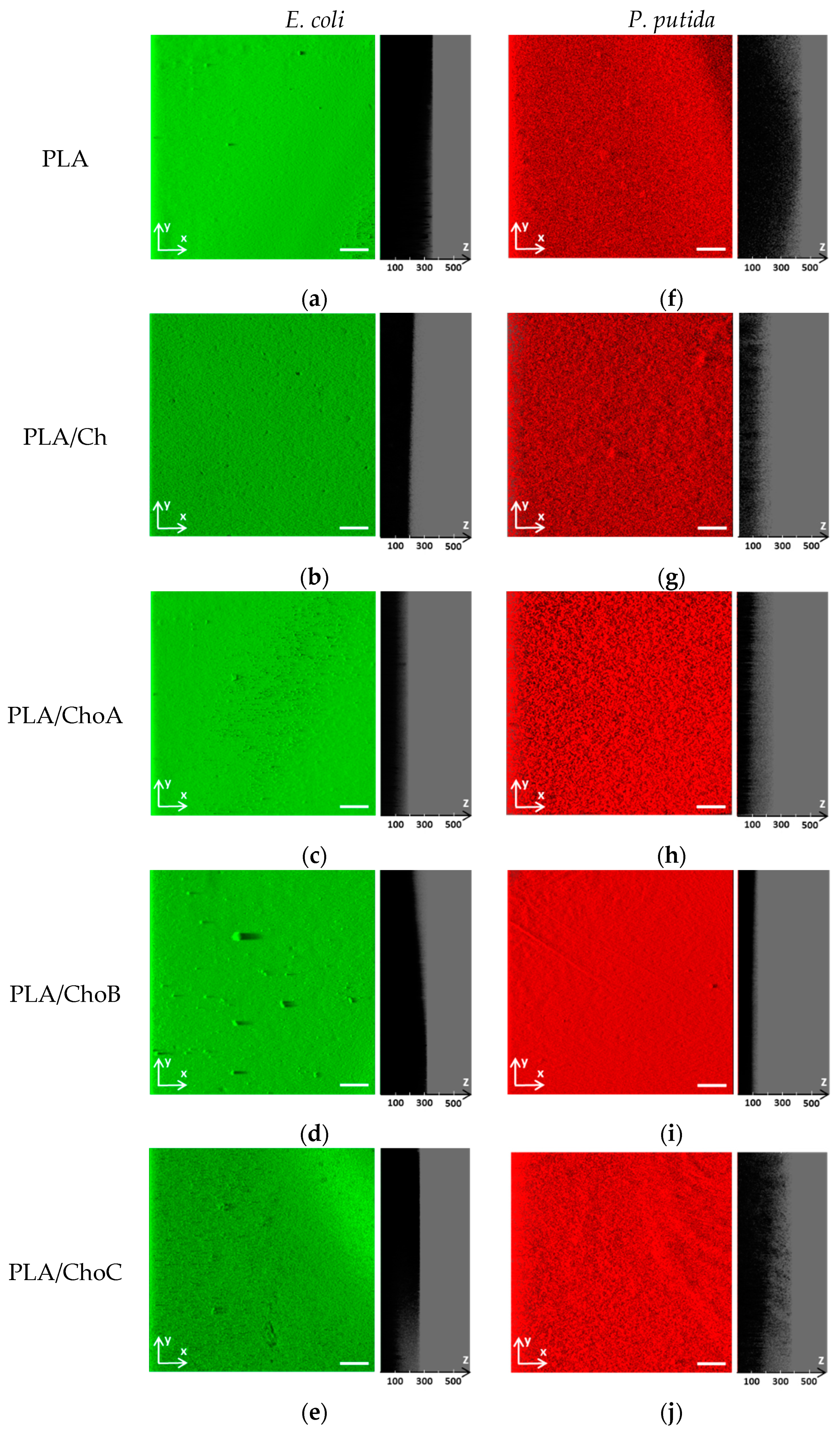 Marinedrugs 19 00384 g009