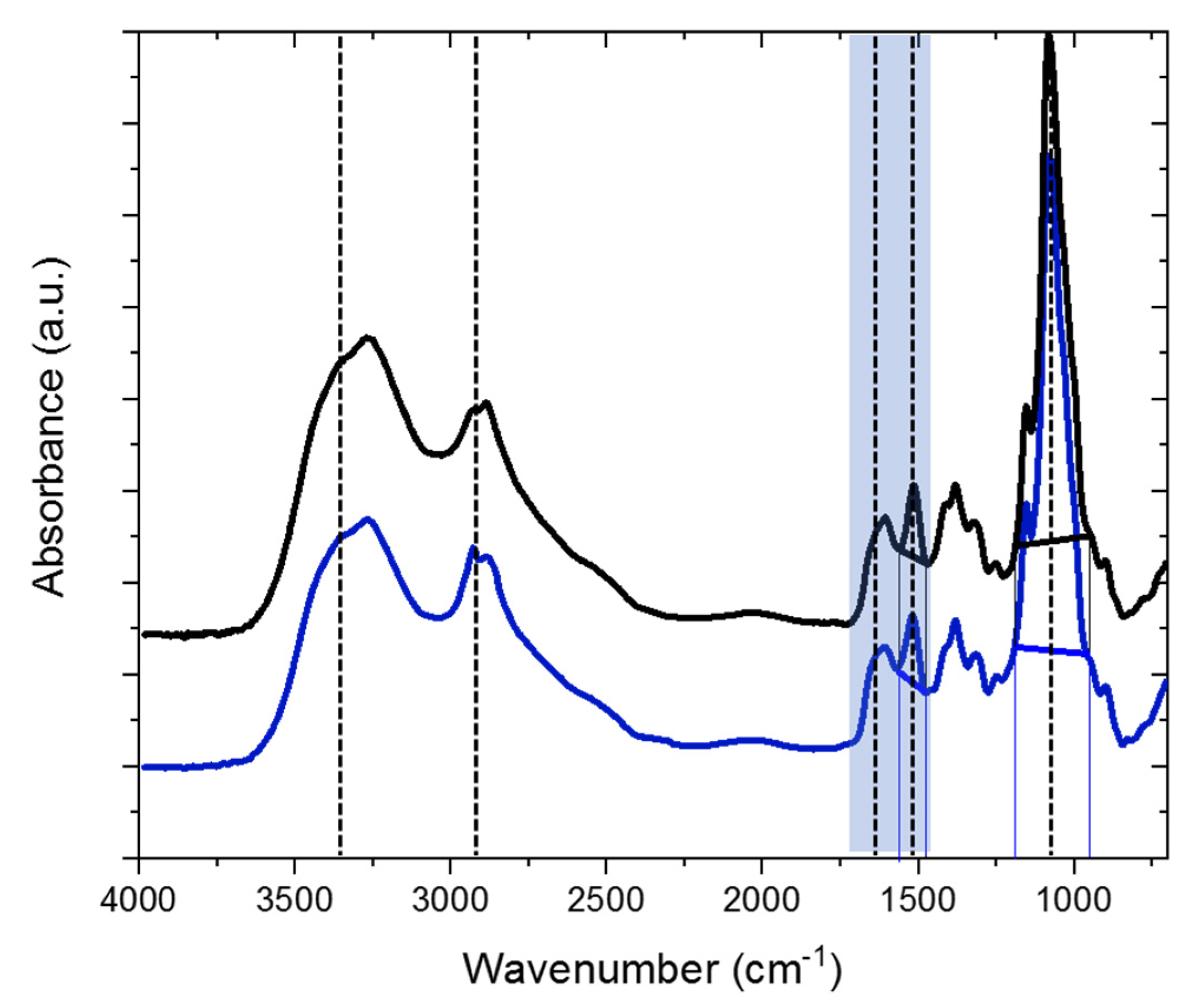 Marinedrugs 19 00385 g002