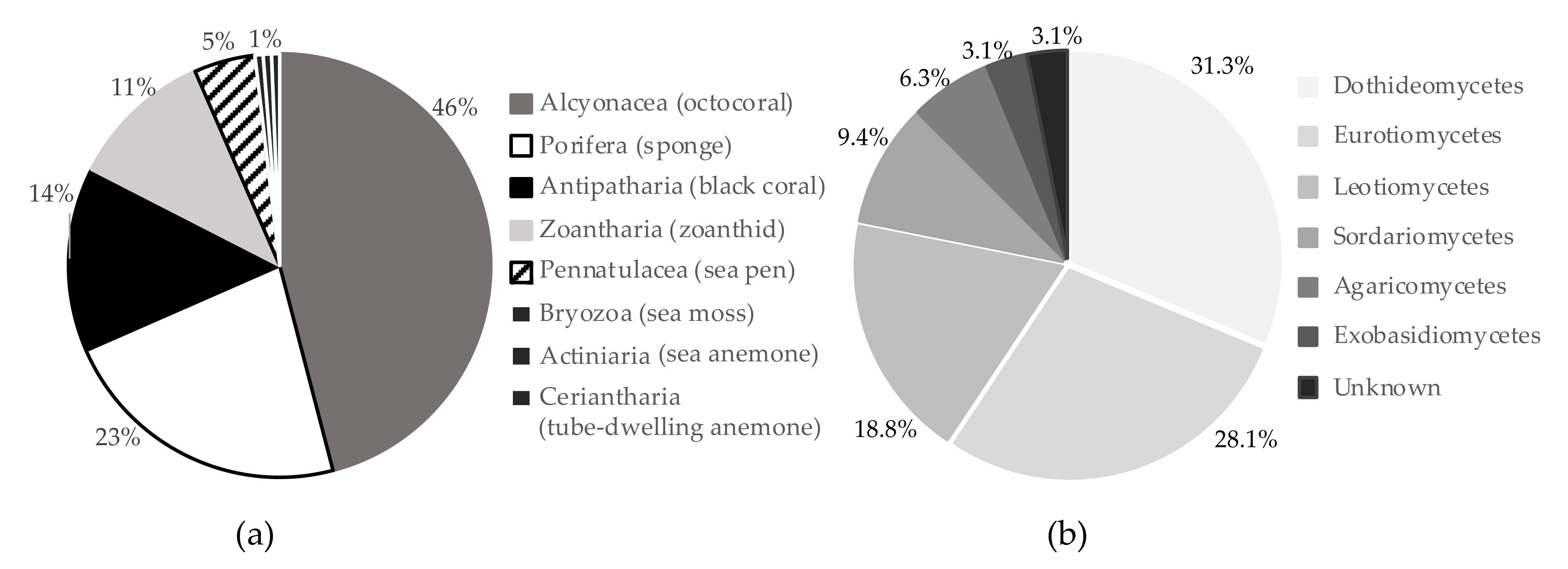 Marinedrugs 19 00390 g001 Marinedrugs 19 00390 g001