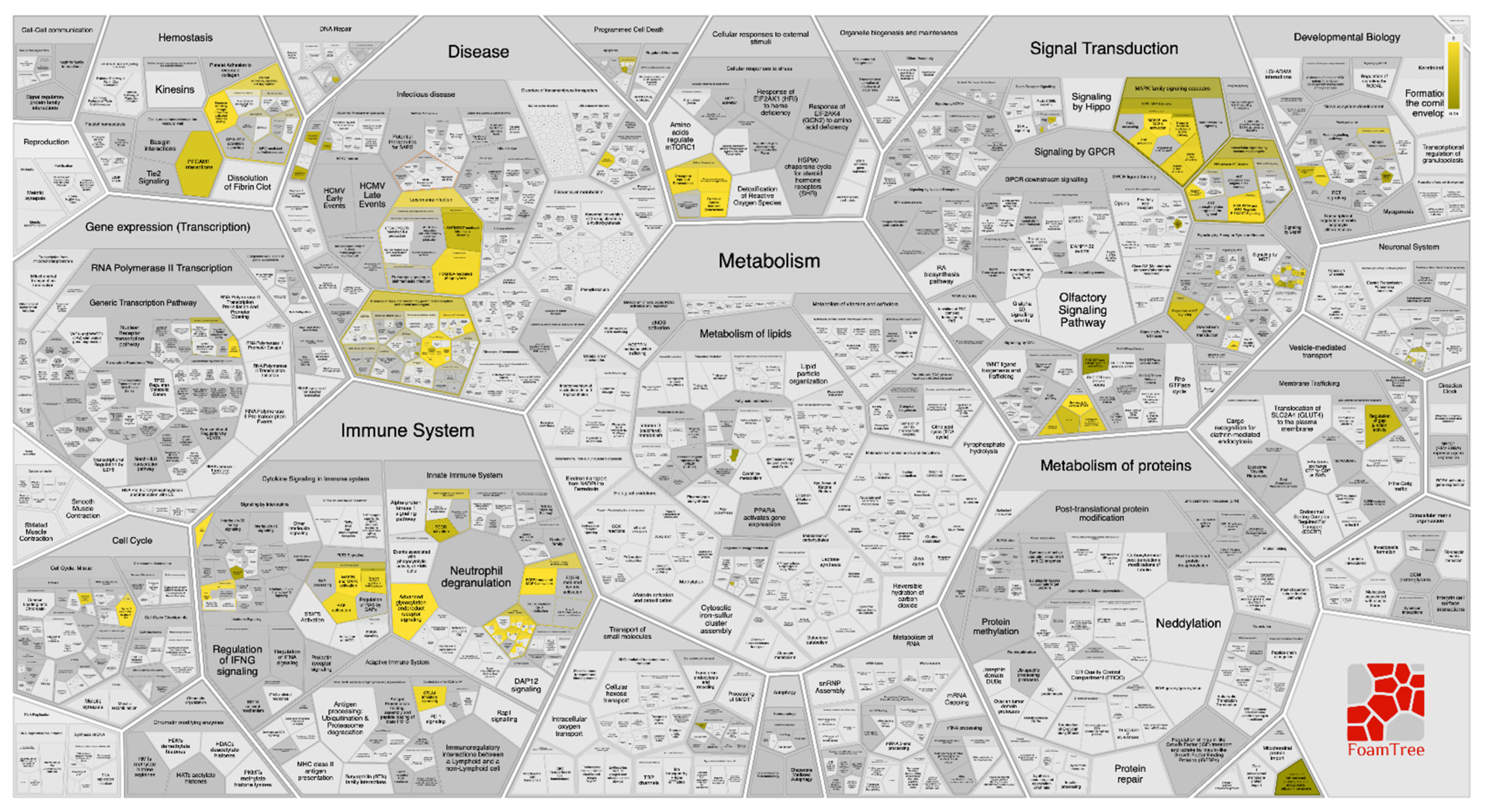 Marinedrugs 19 00391 g009