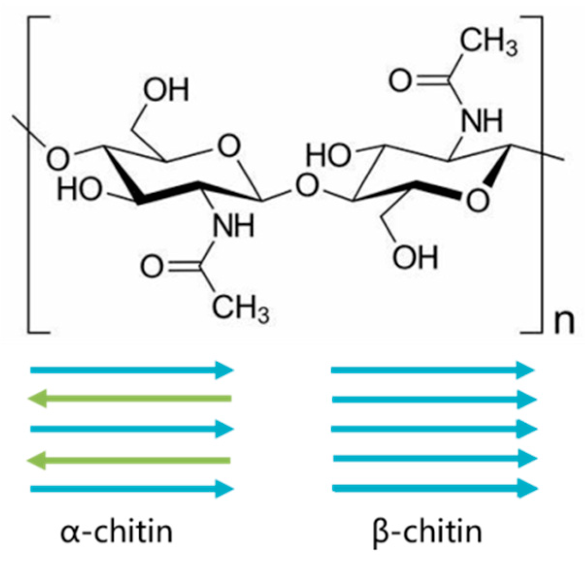 Marinedrugs 19 00392 g001