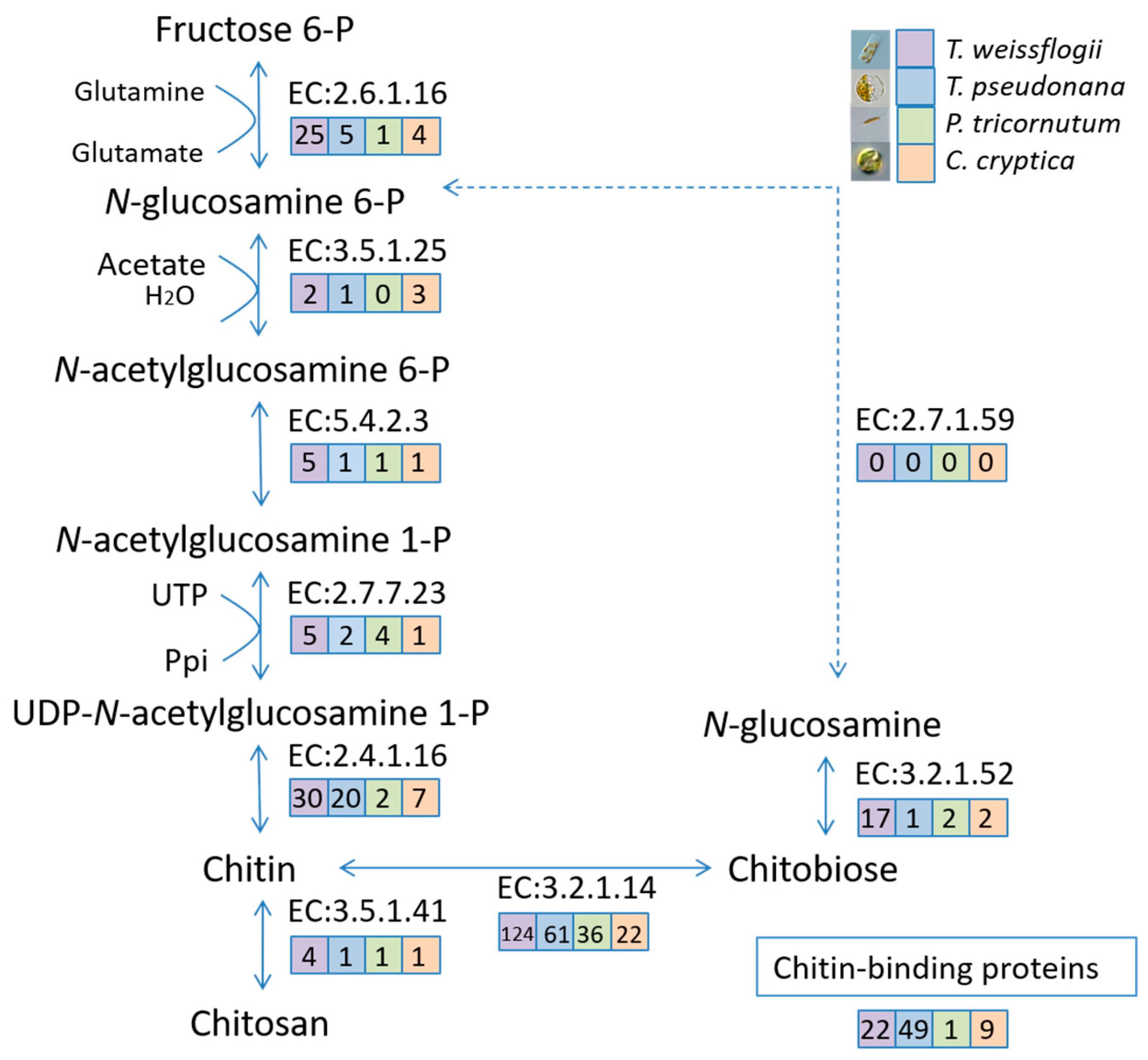 Marinedrugs 19 00392 g007