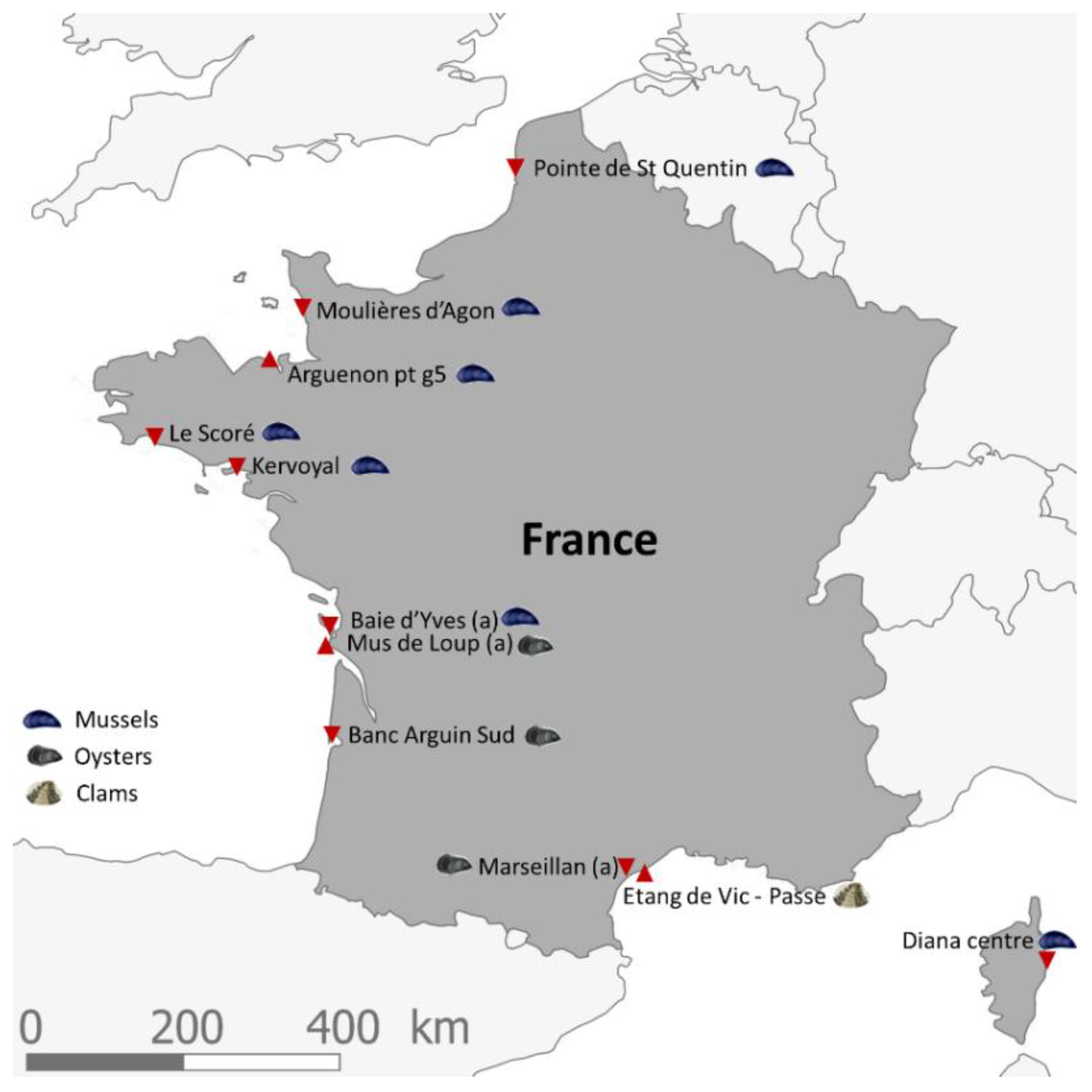 Marinedrugs 19 00393 g002