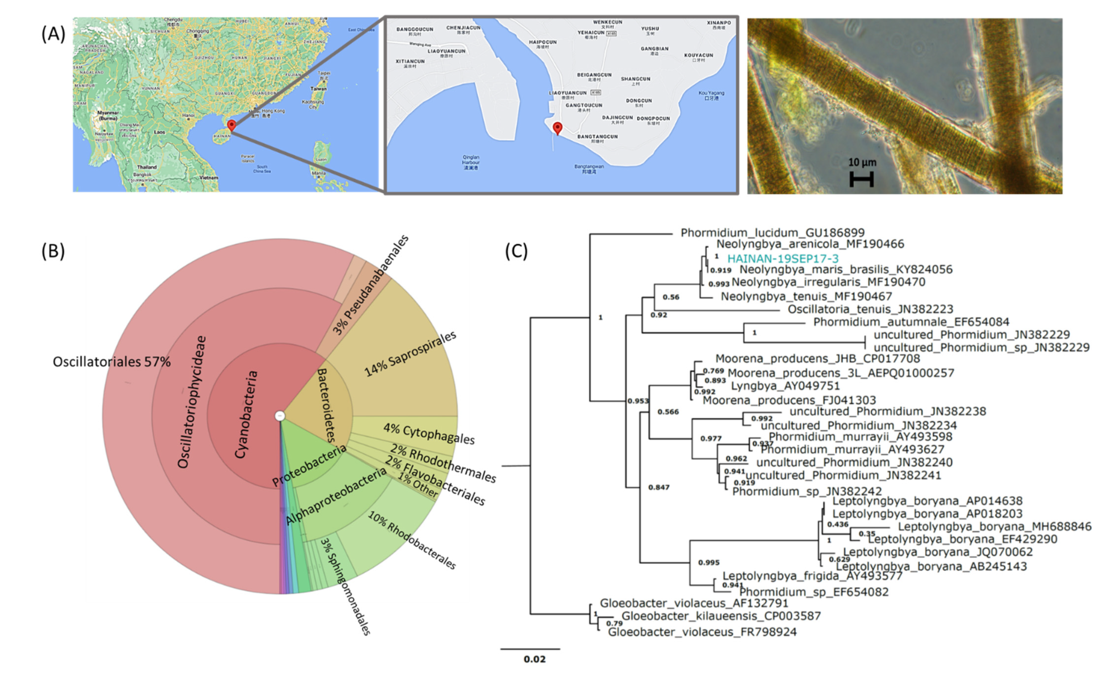 Marinedrugs 19 00397 g002 550