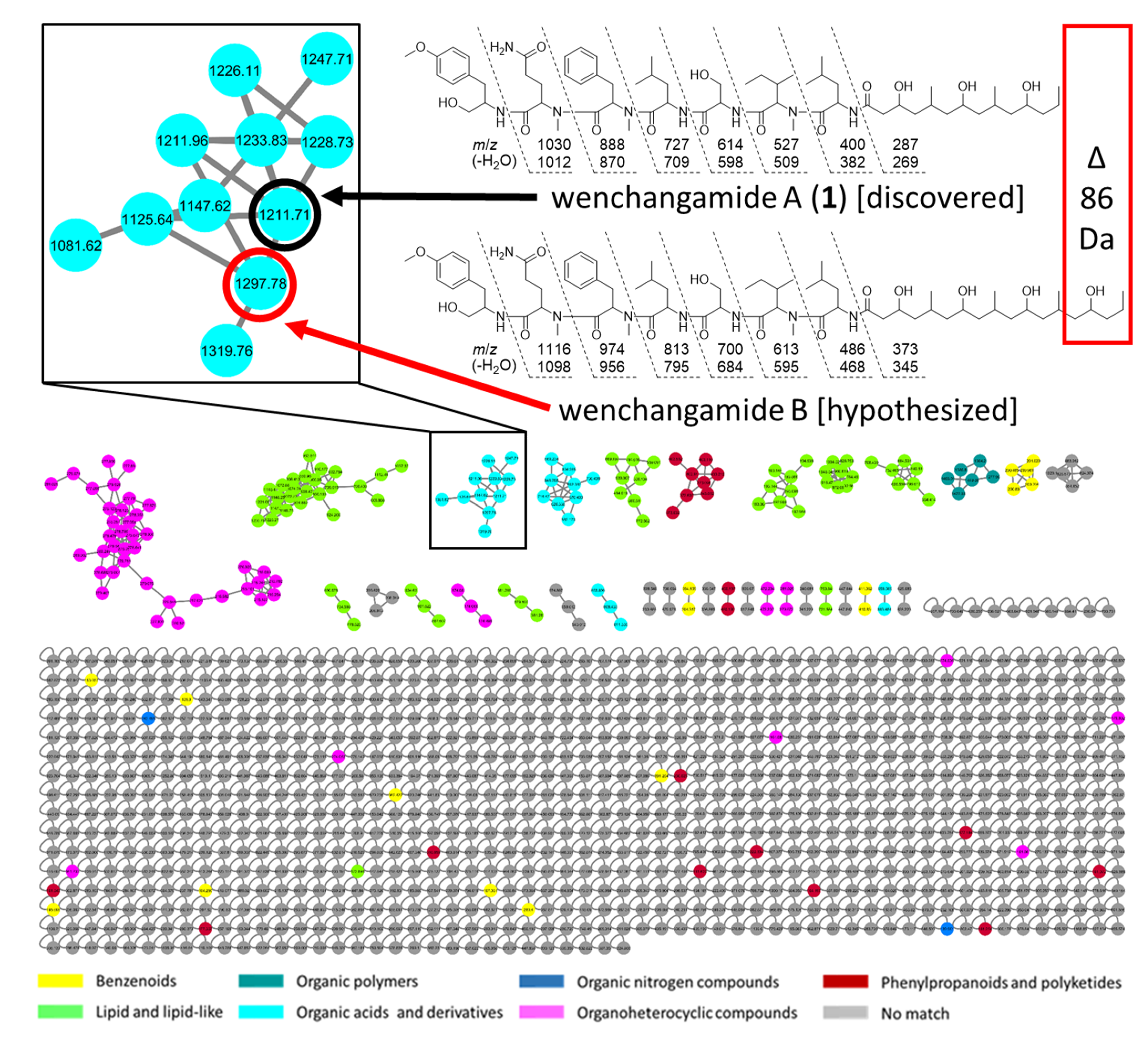Marinedrugs 19 00397 g009 550
