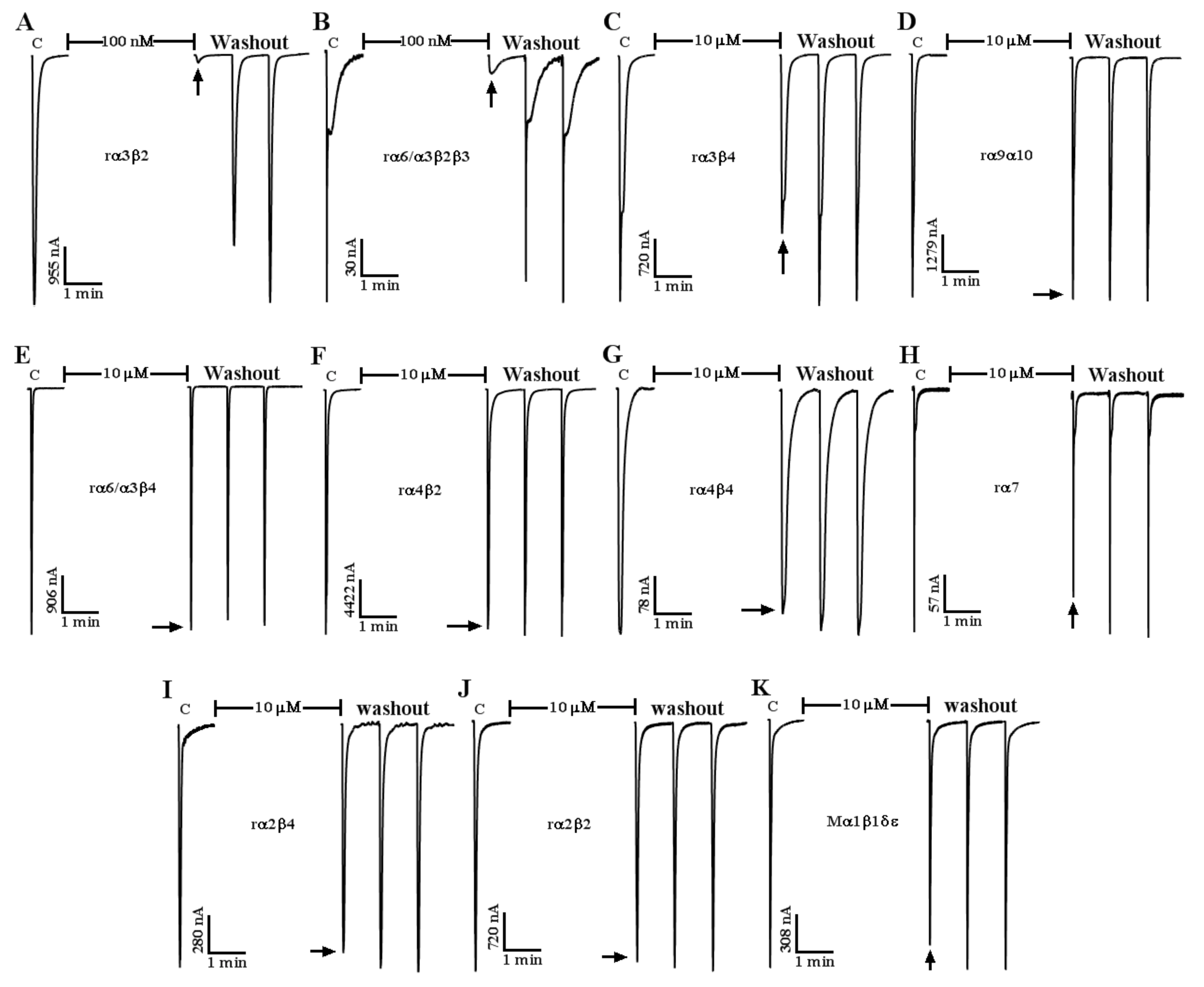 Marinedrugs 19 00398 g003