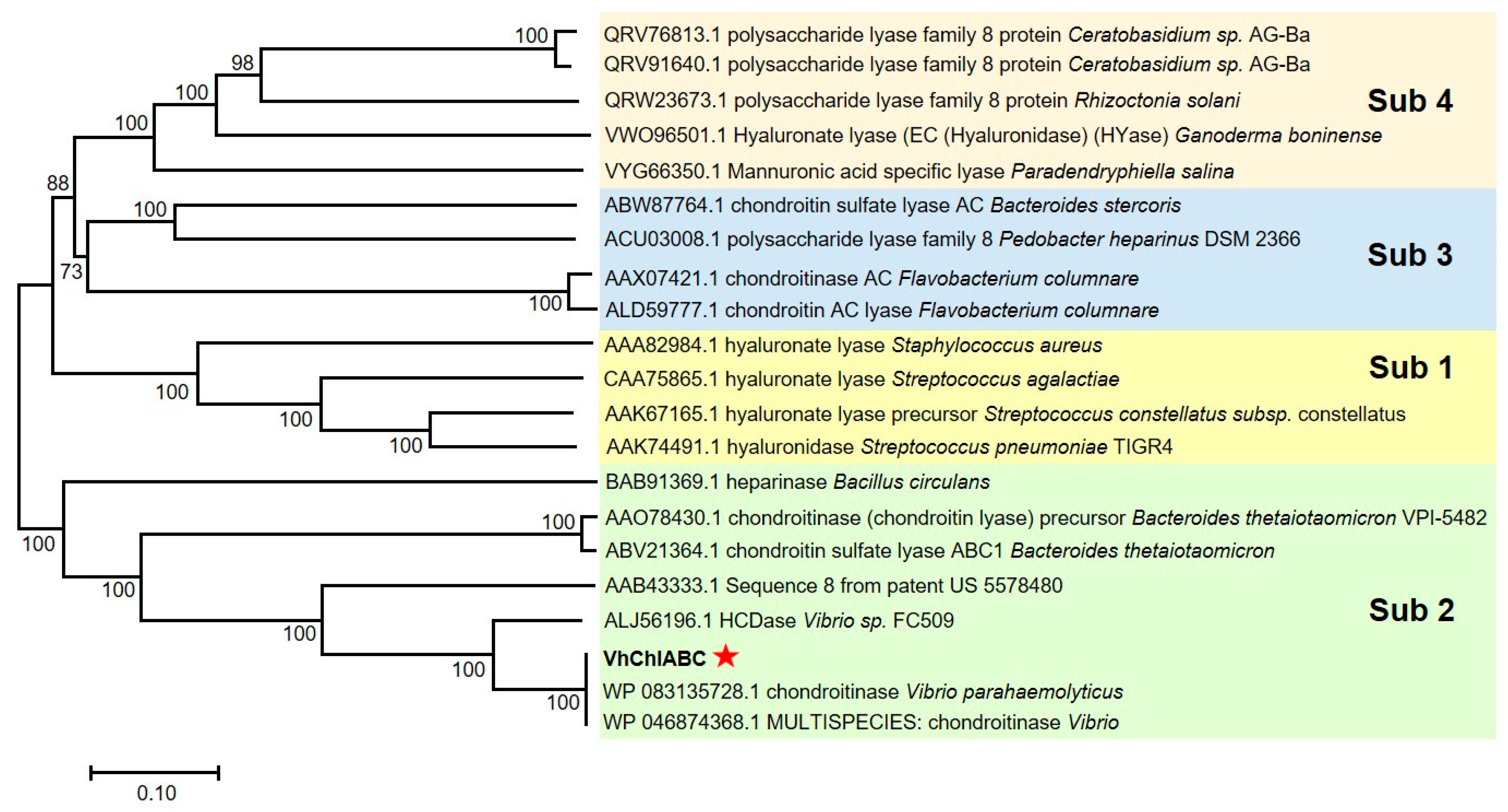 Marinedrugs 19 00399 g001 550