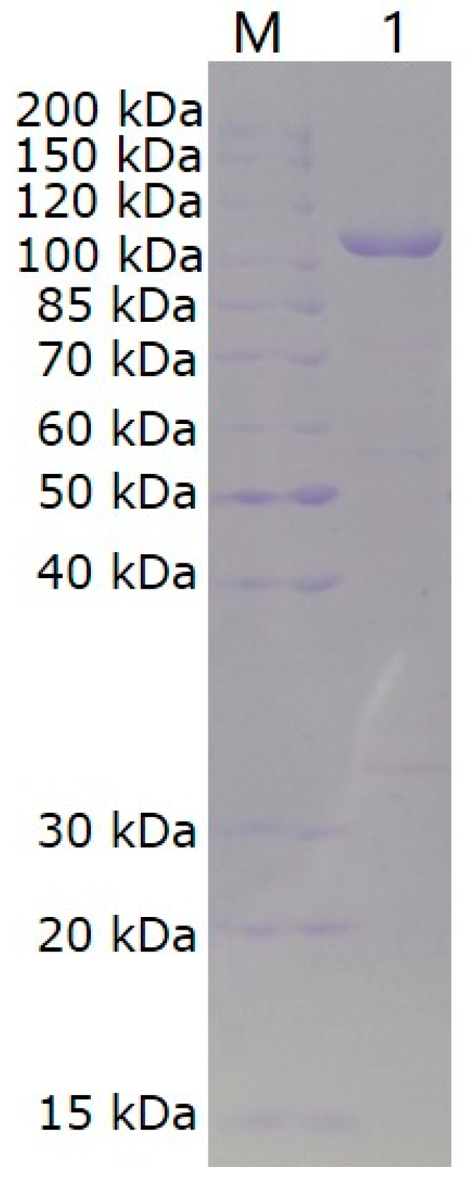 Marinedrugs 19 00399 g002 550