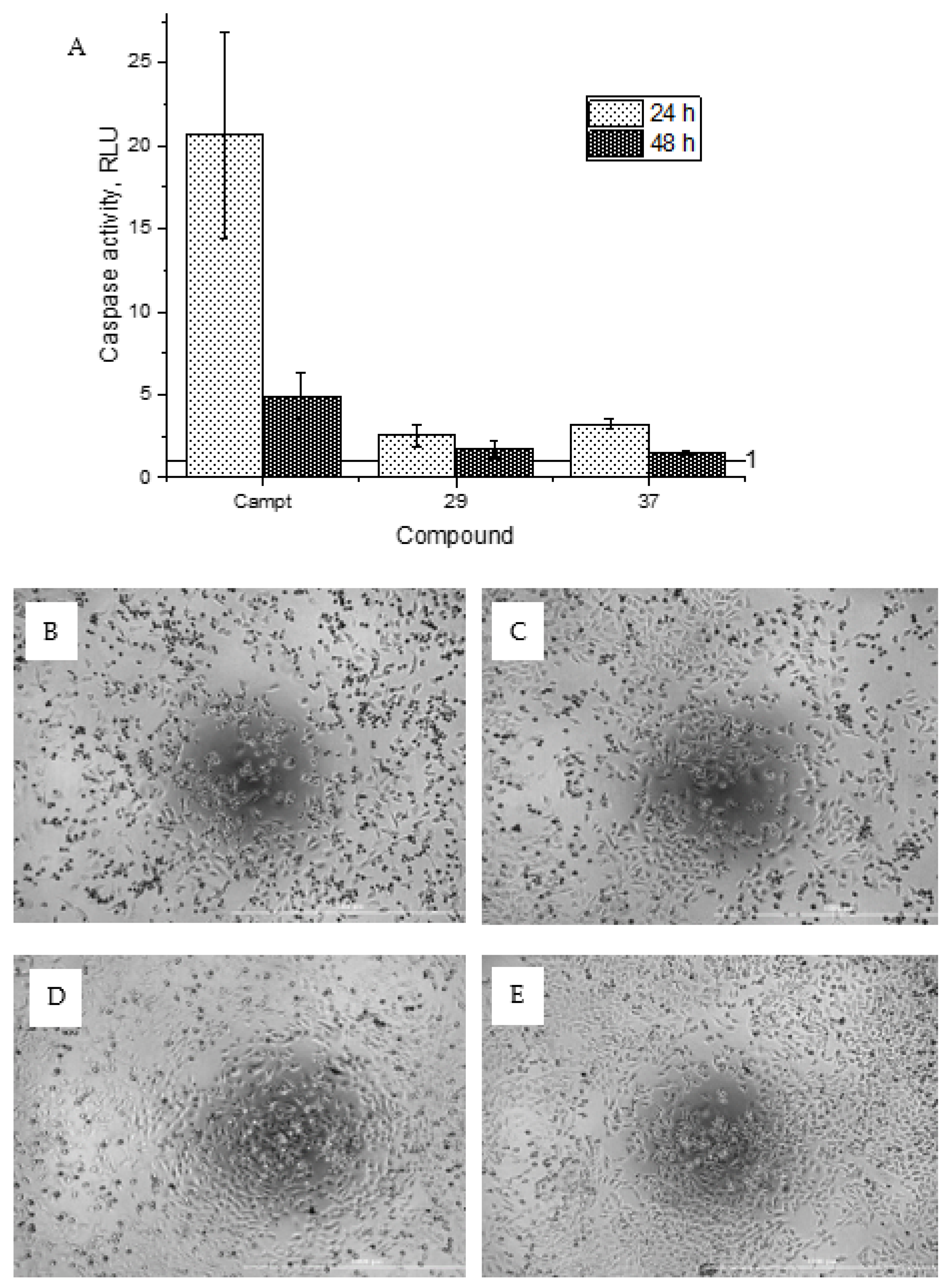 Marinedrugs 19 00400 g003
