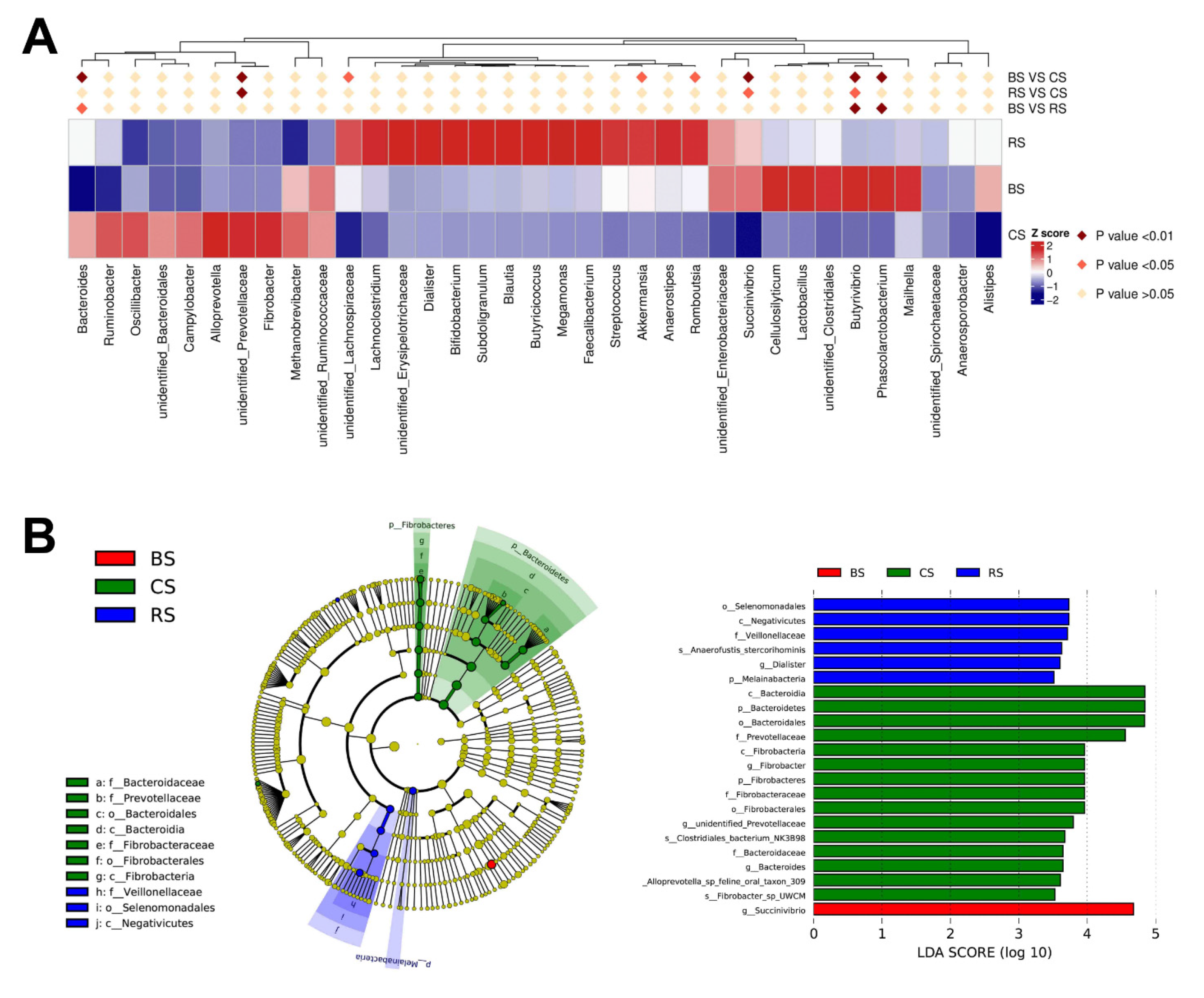 Marinedrugs 19 00404 g004 Marinedrugs 19 00404 g004