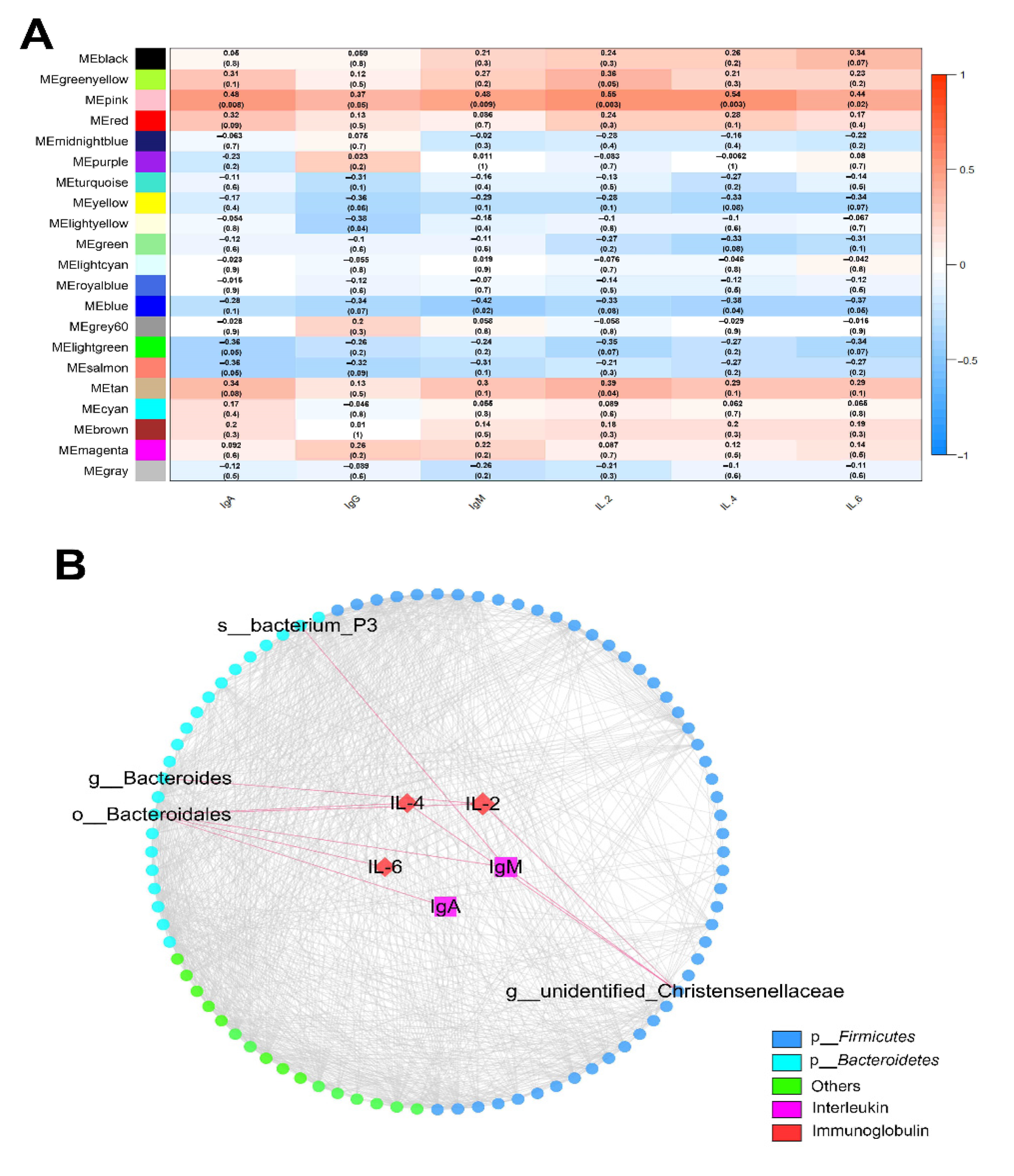 Marinedrugs 19 00404 g005 Marinedrugs 19 00404 g005
