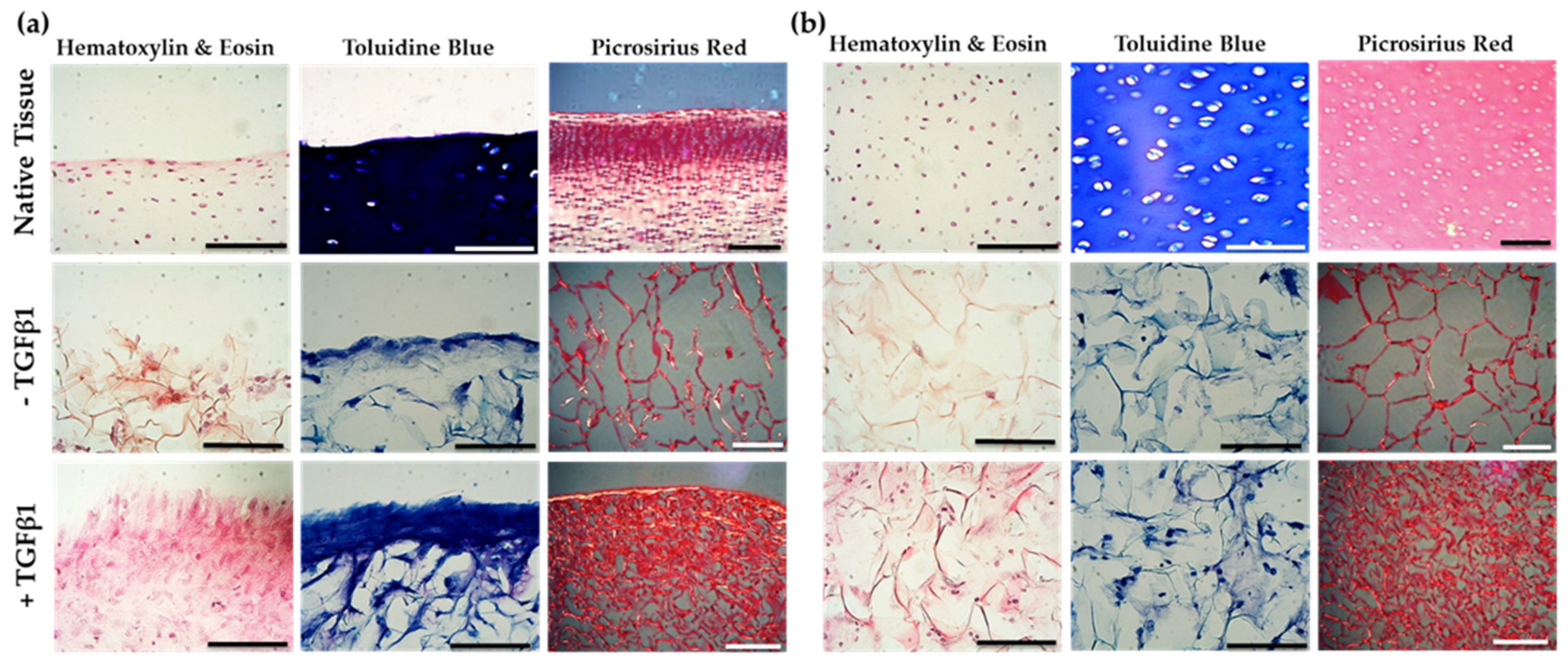 Marinedrugs 19 00405 g006 Marinedrugs 19 00405 g006