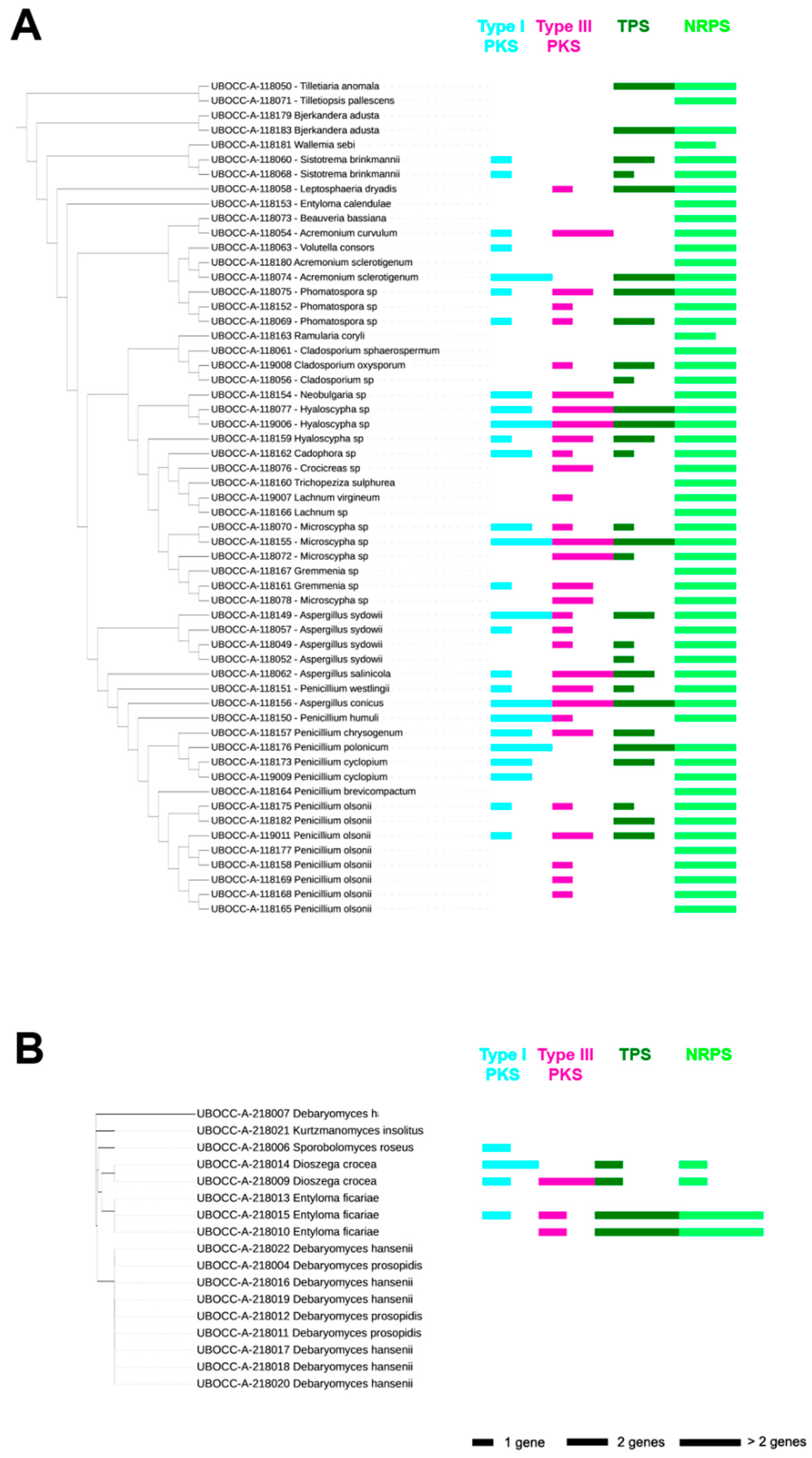Marinedrugs 19 00411 g001
