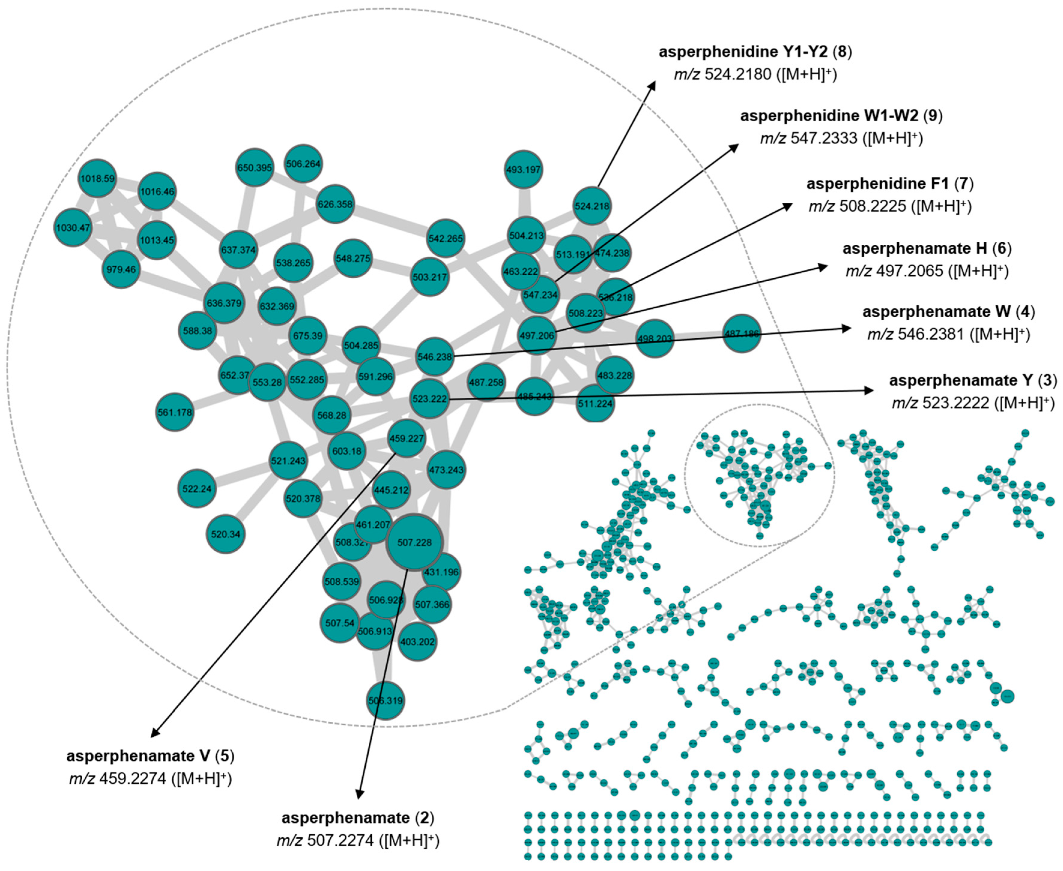 Marinedrugs 19 00411 g004