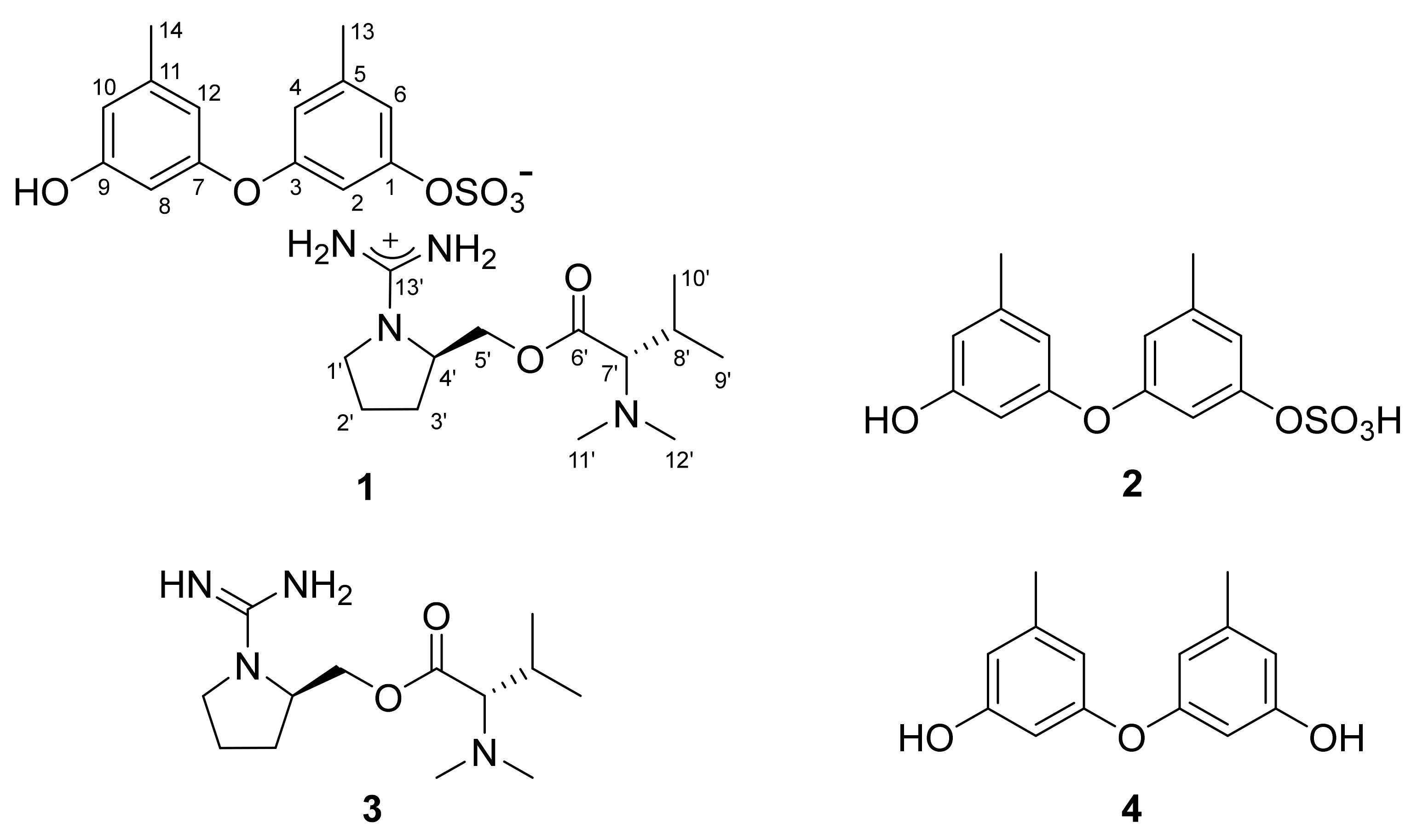 Marinedrugs 19 00413 g001 550