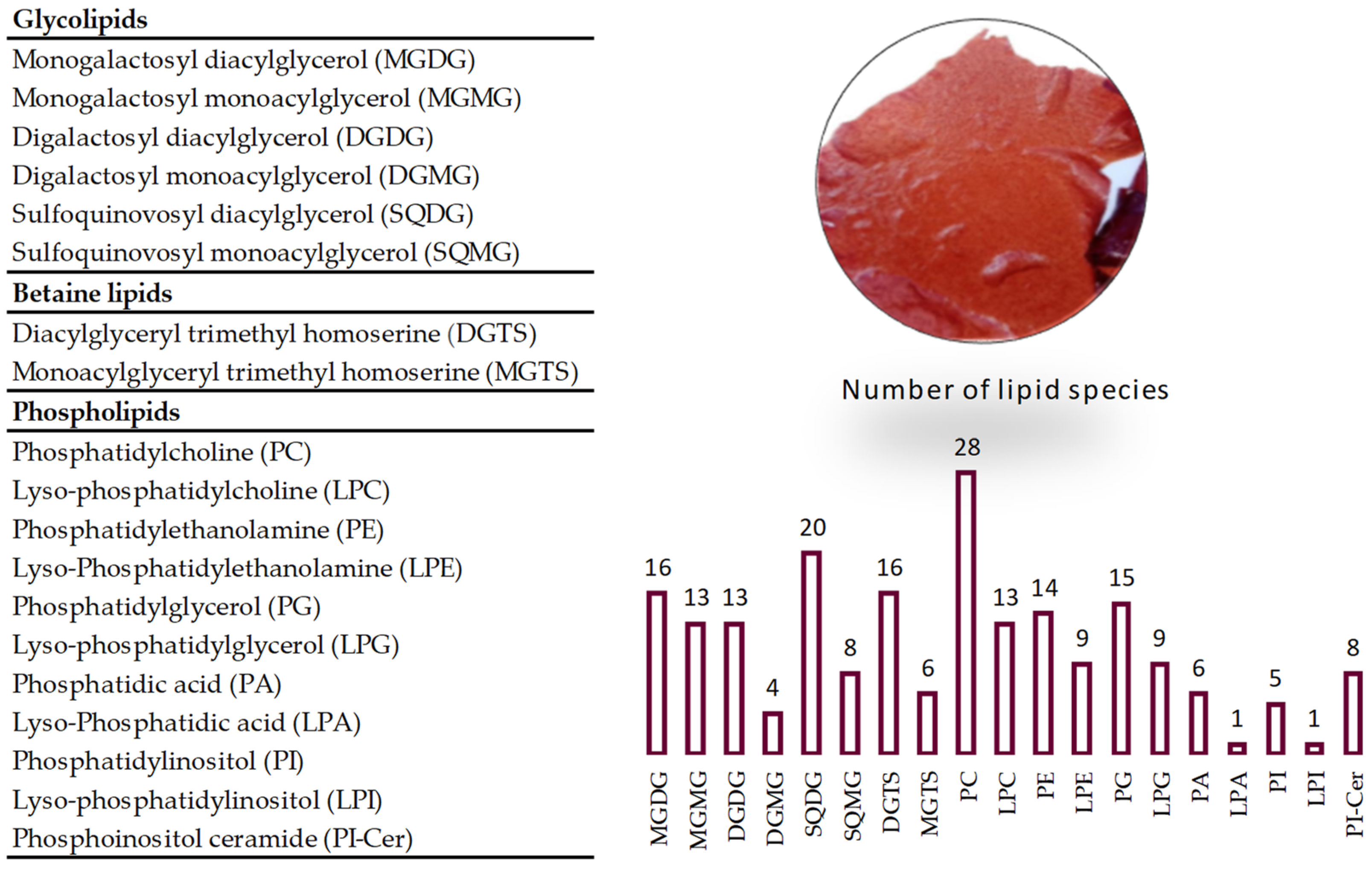 Marinedrugs 19 00414 g001