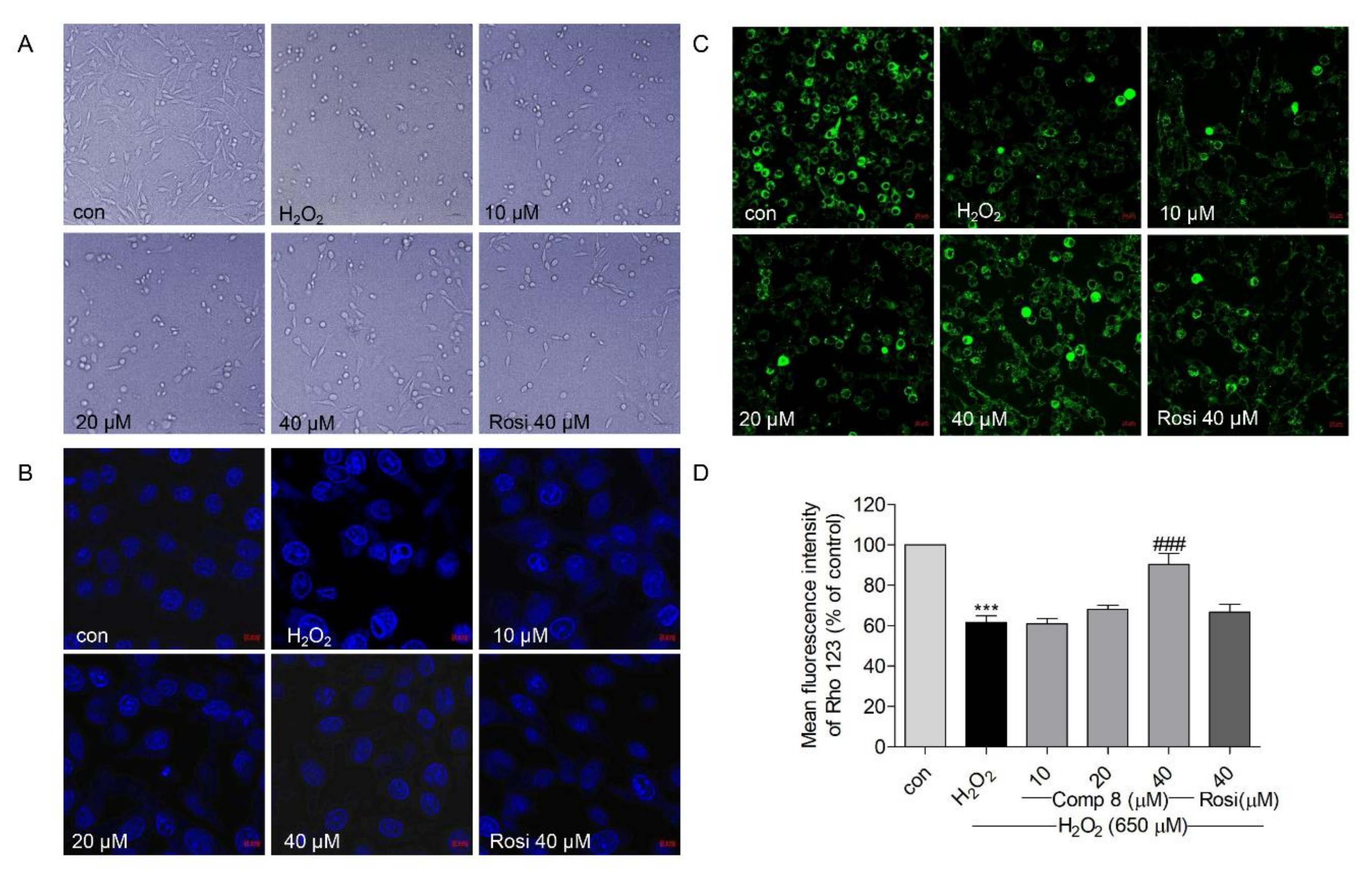 Marinedrugs 19 00417 g006 550