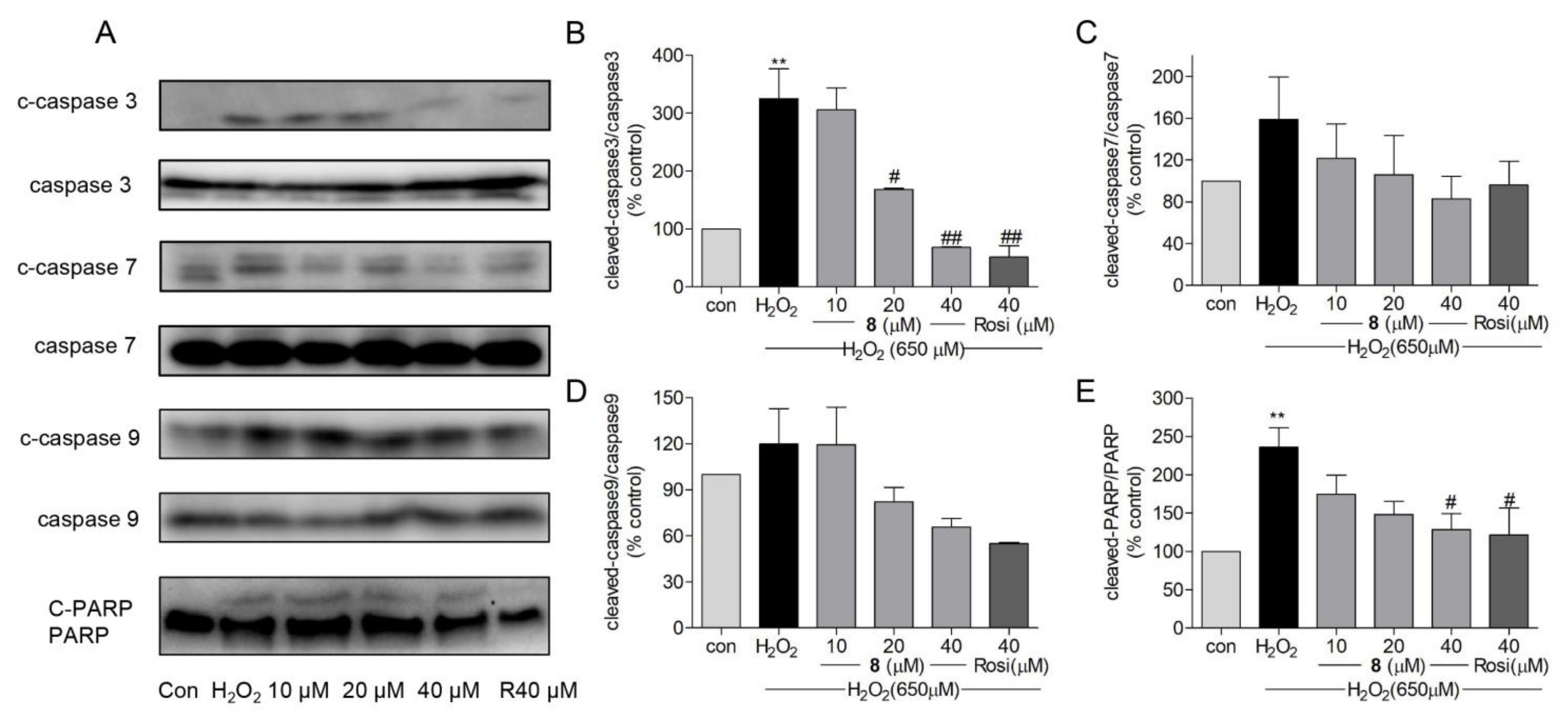 Marinedrugs 19 00417 g008 550