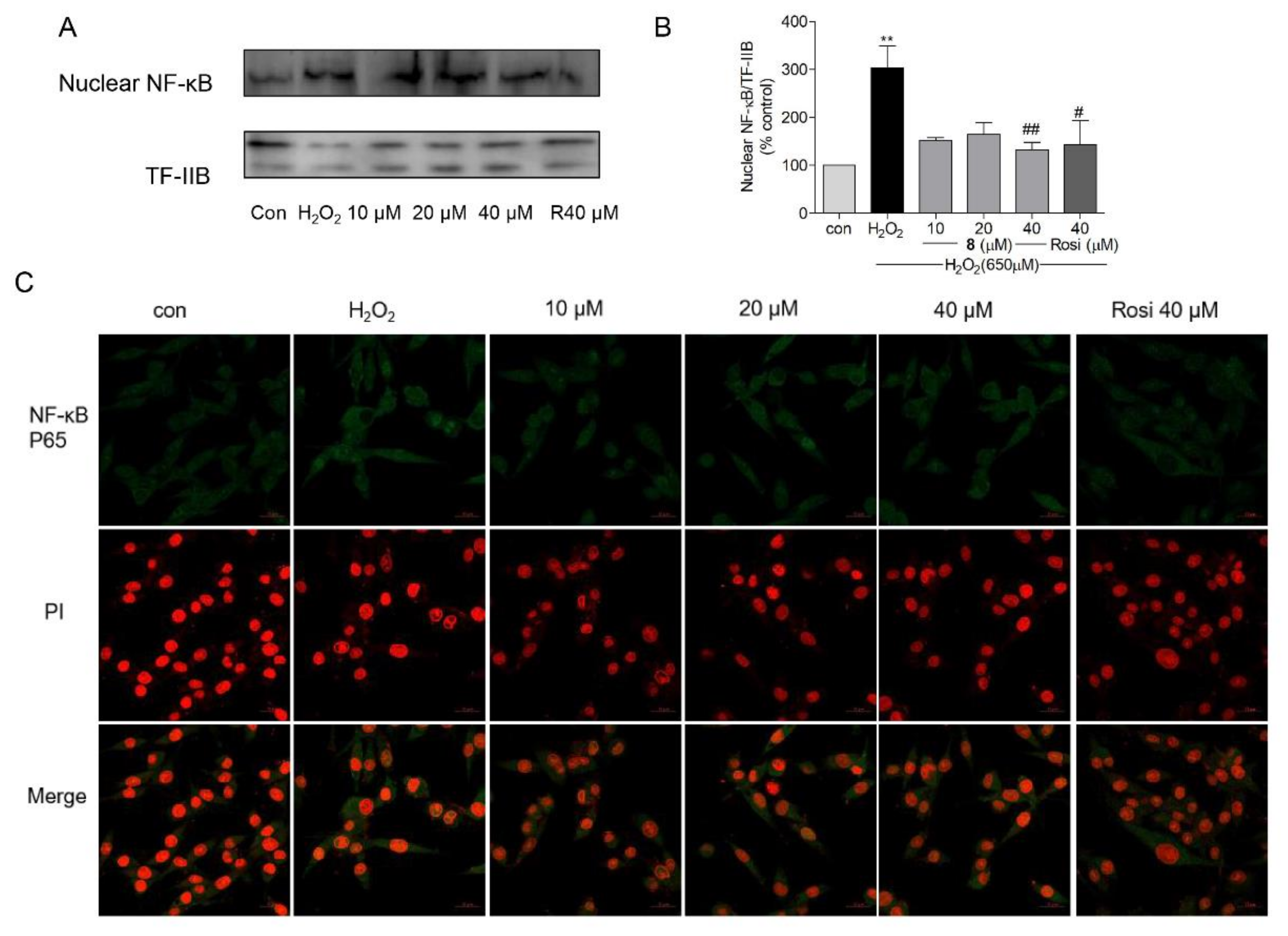 Marinedrugs 19 00417 g009 550