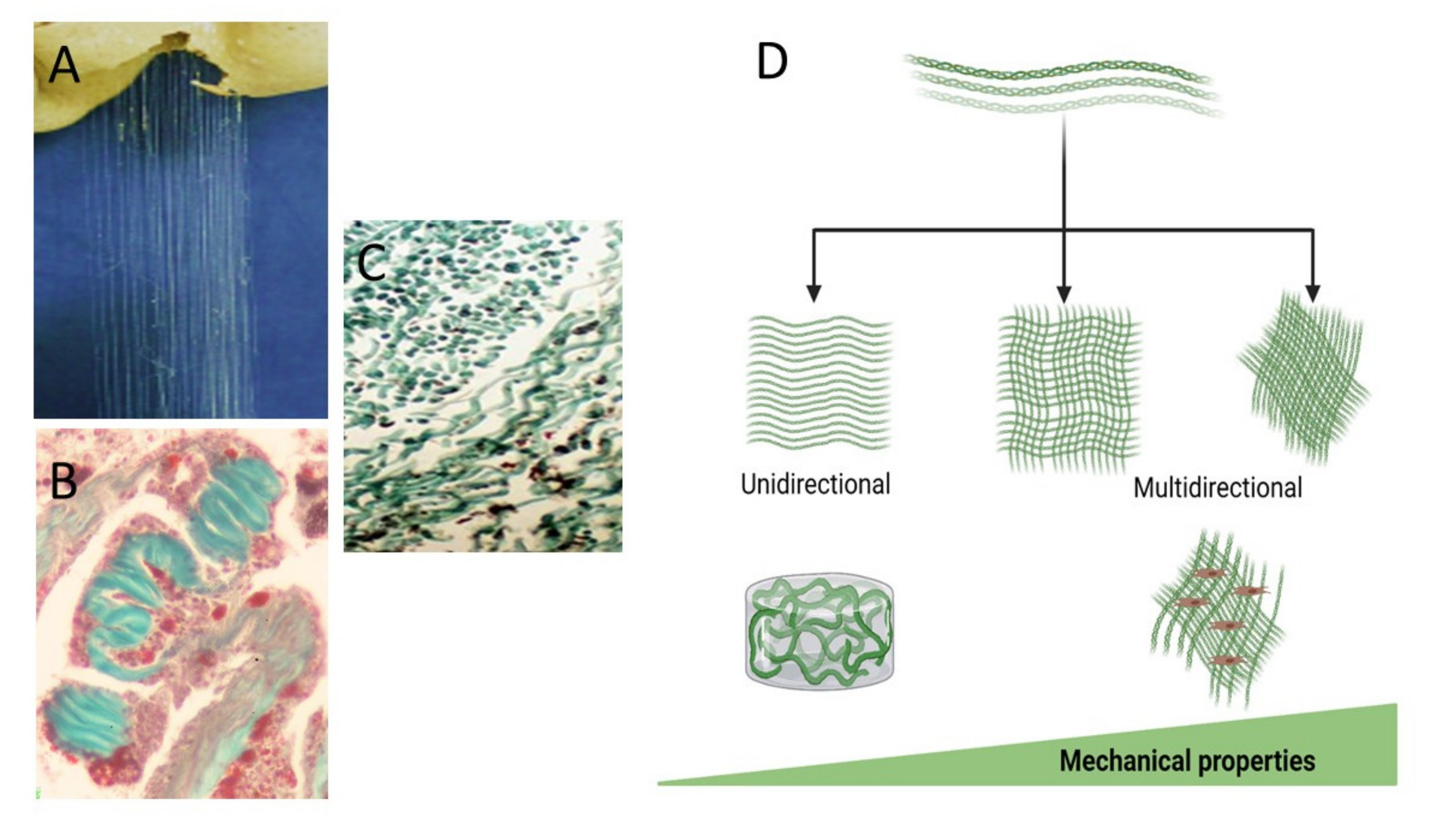 Marinedrugs 19 00419 g003