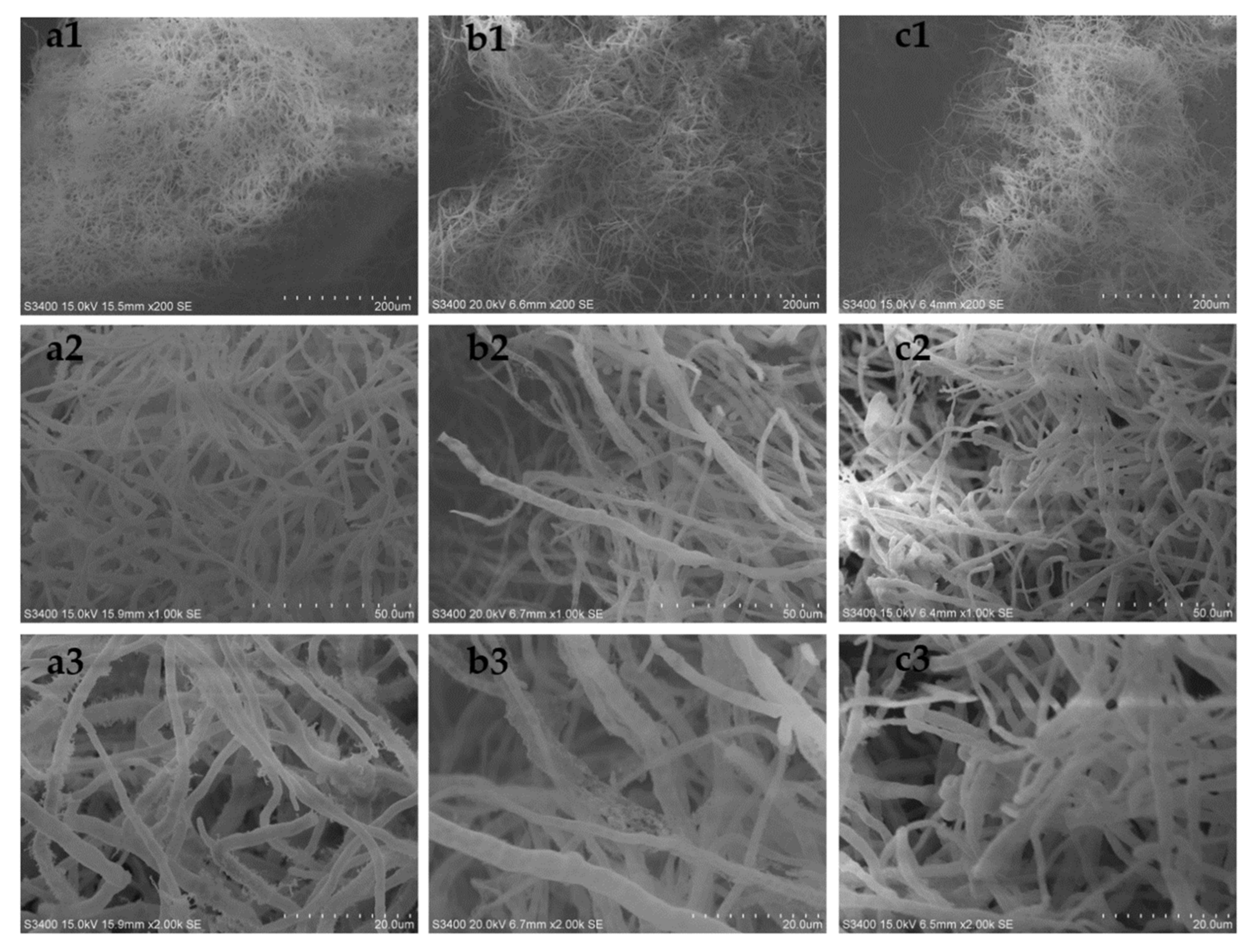 Marinedrugs 19 00421 g008