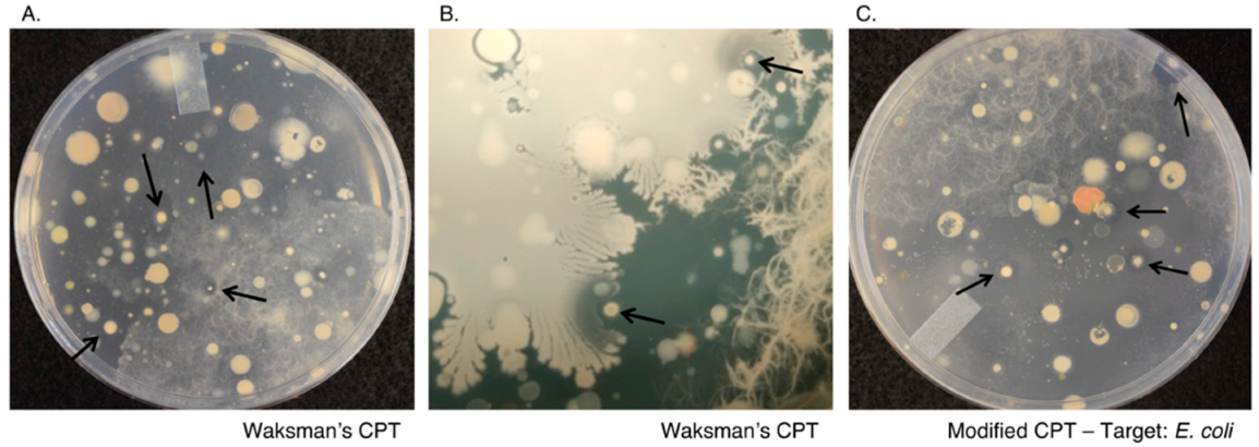 Marinedrugs 19 00424 g001 550