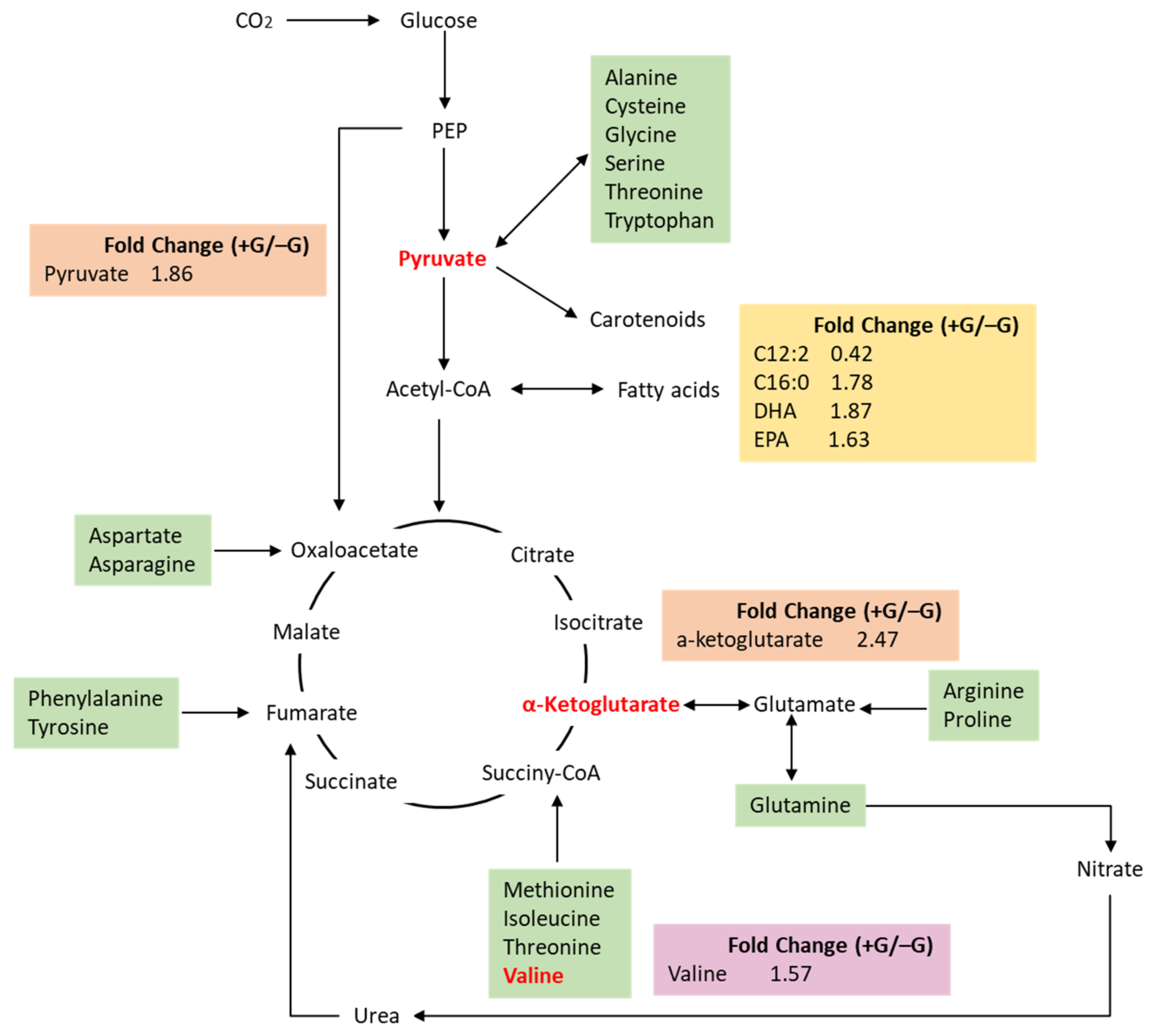 Marinedrugs 19 00426 g003