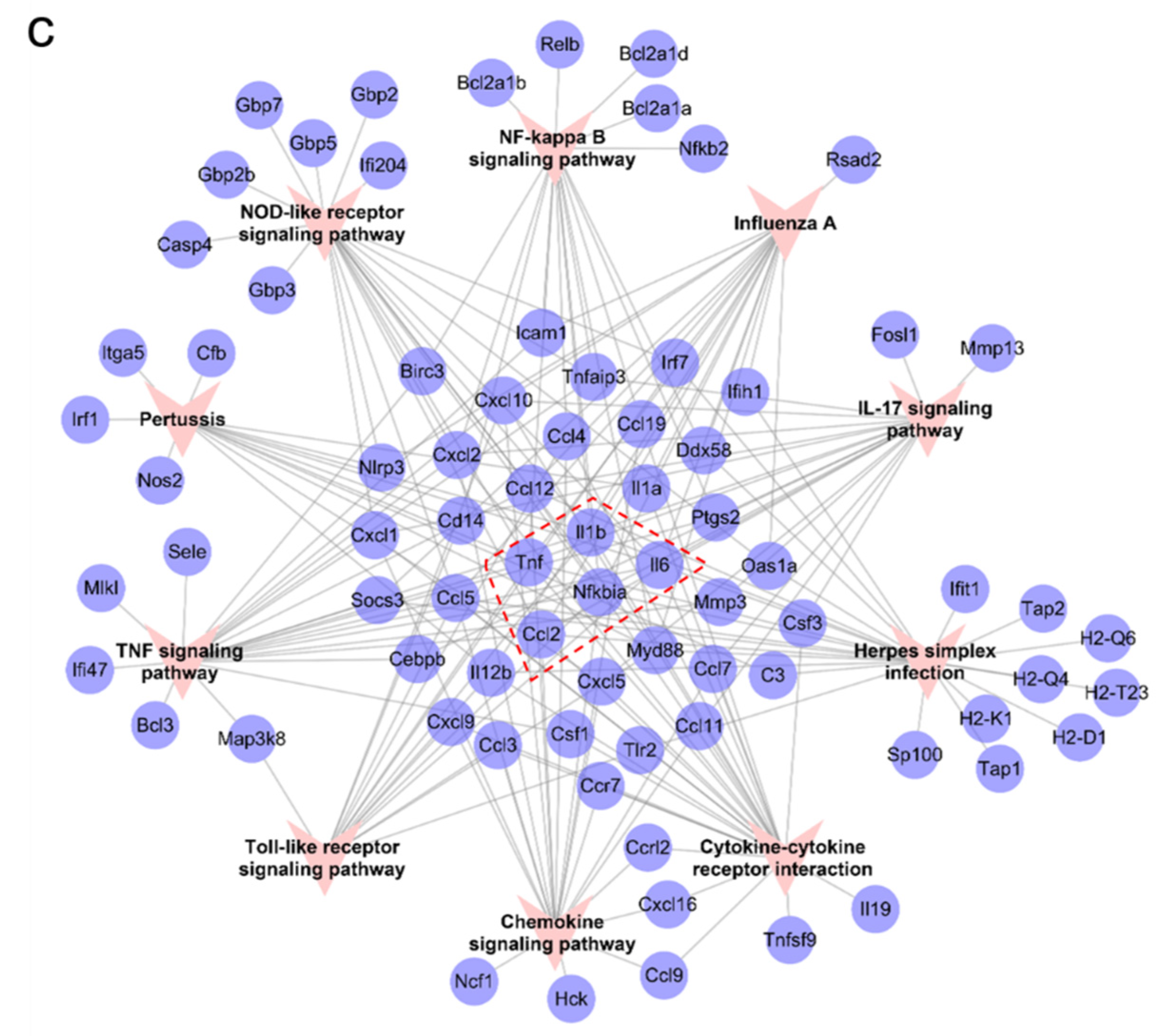 Marinedrugs 19 00429 g003b