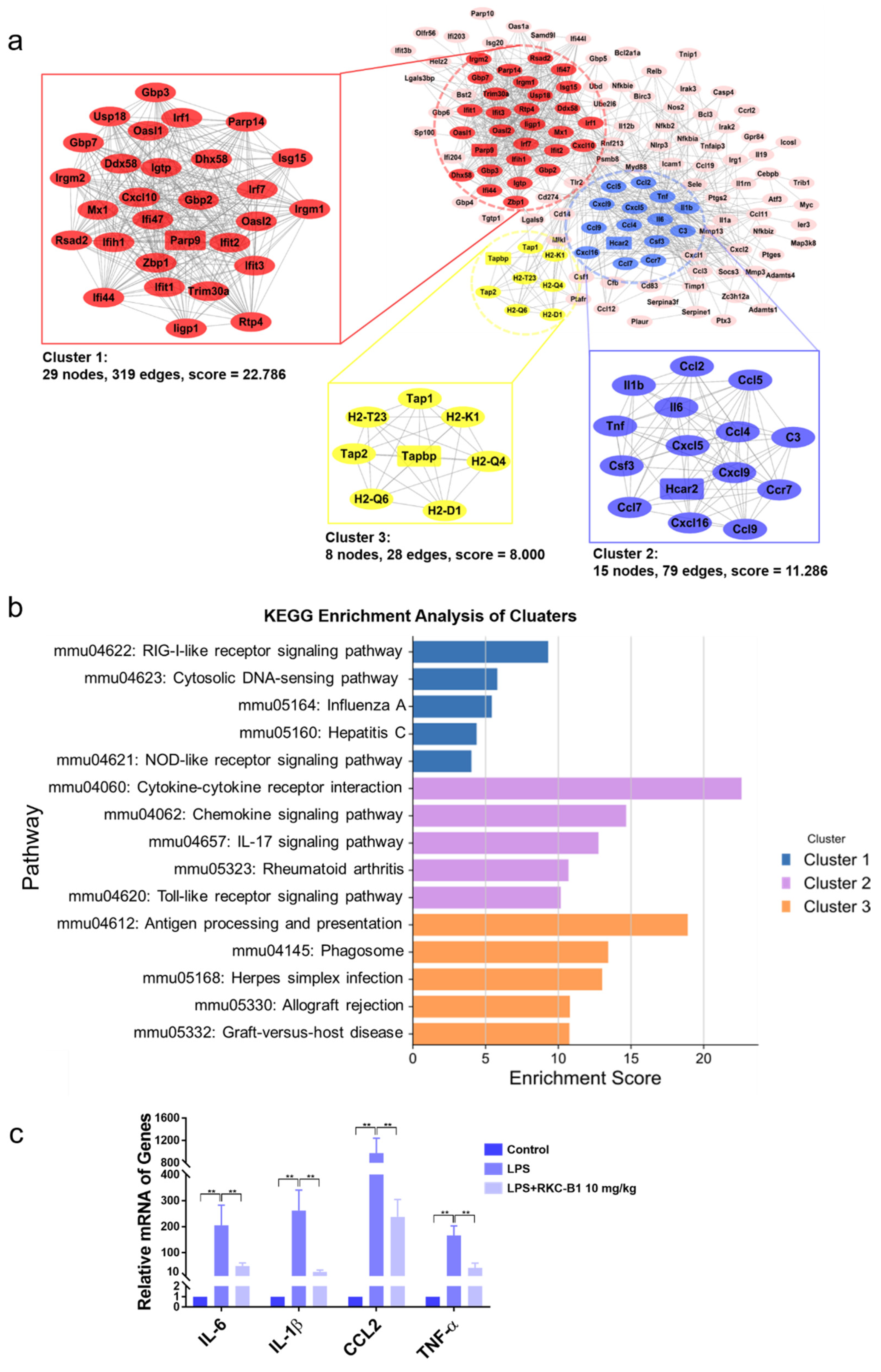 Marinedrugs 19 00429 g004