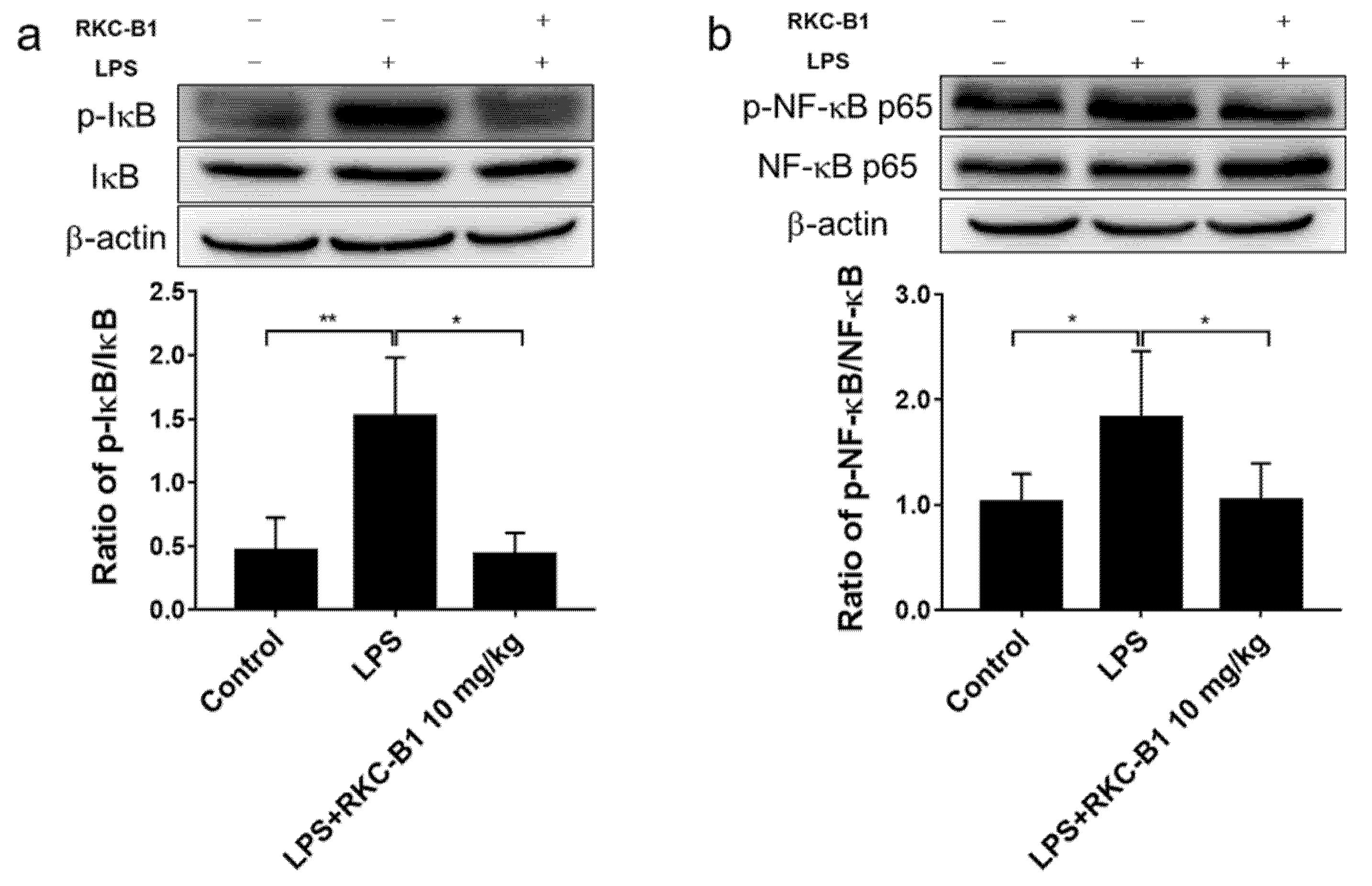 Marinedrugs 19 00429 g006