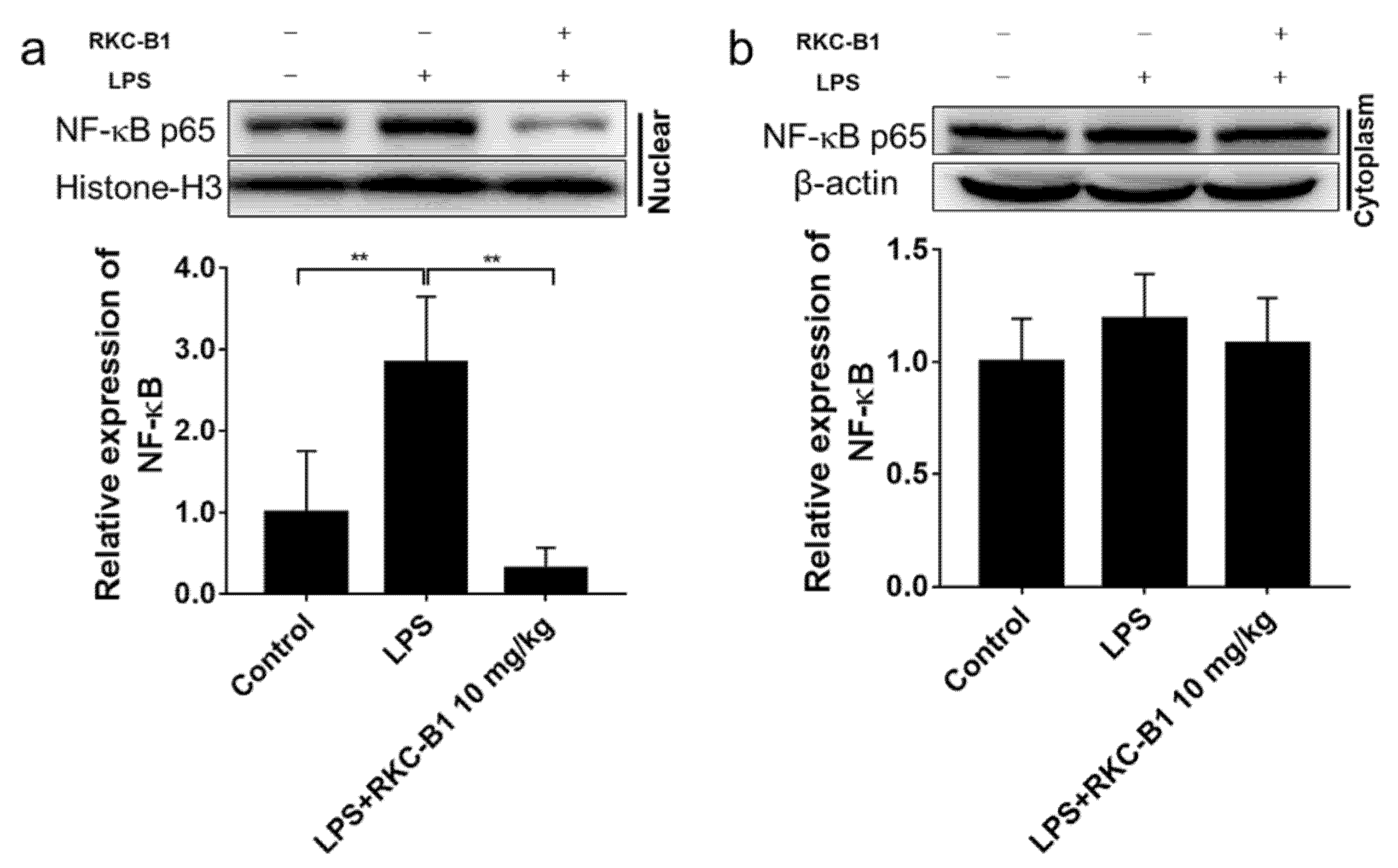 Marinedrugs 19 00429 g007