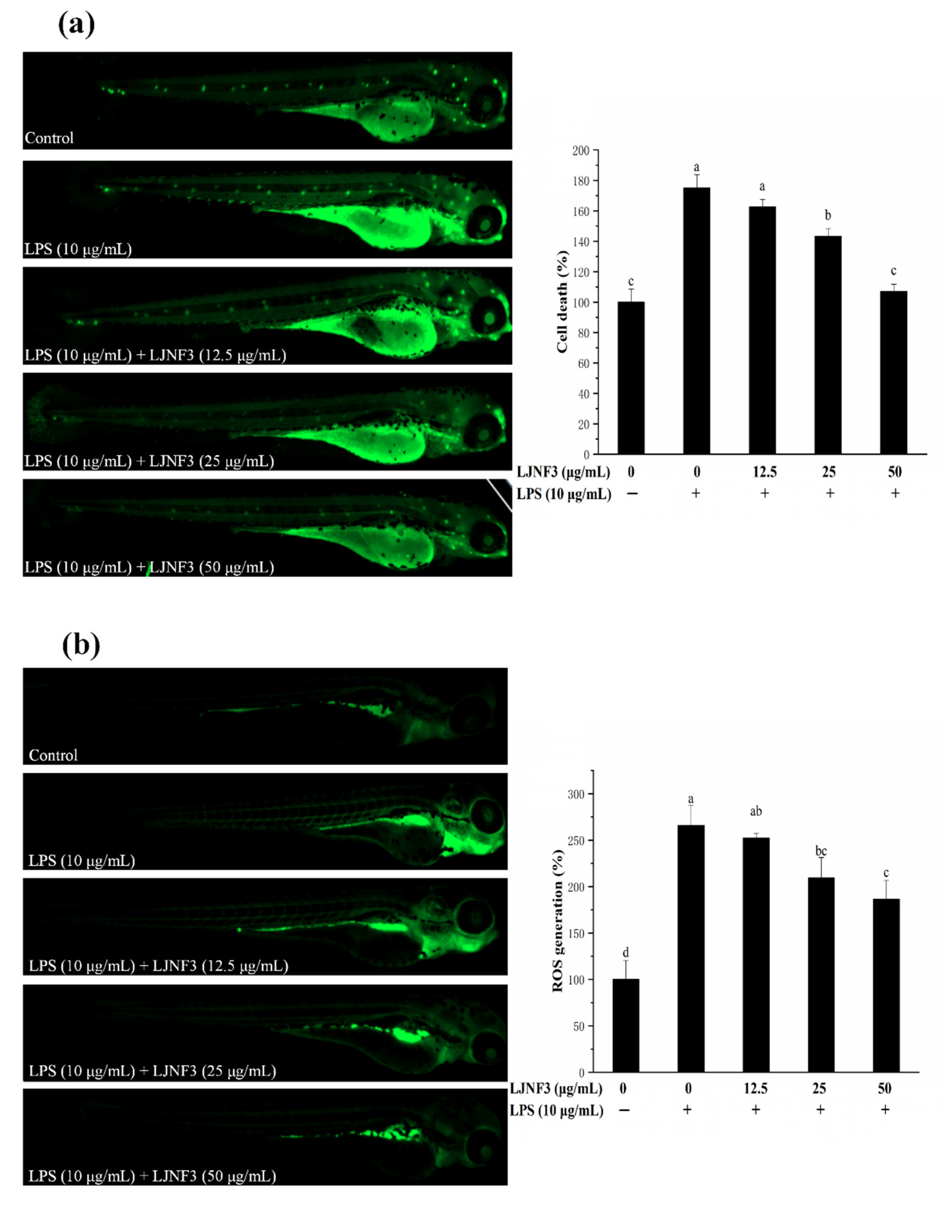 Marinedrugs 19 00430 g009a