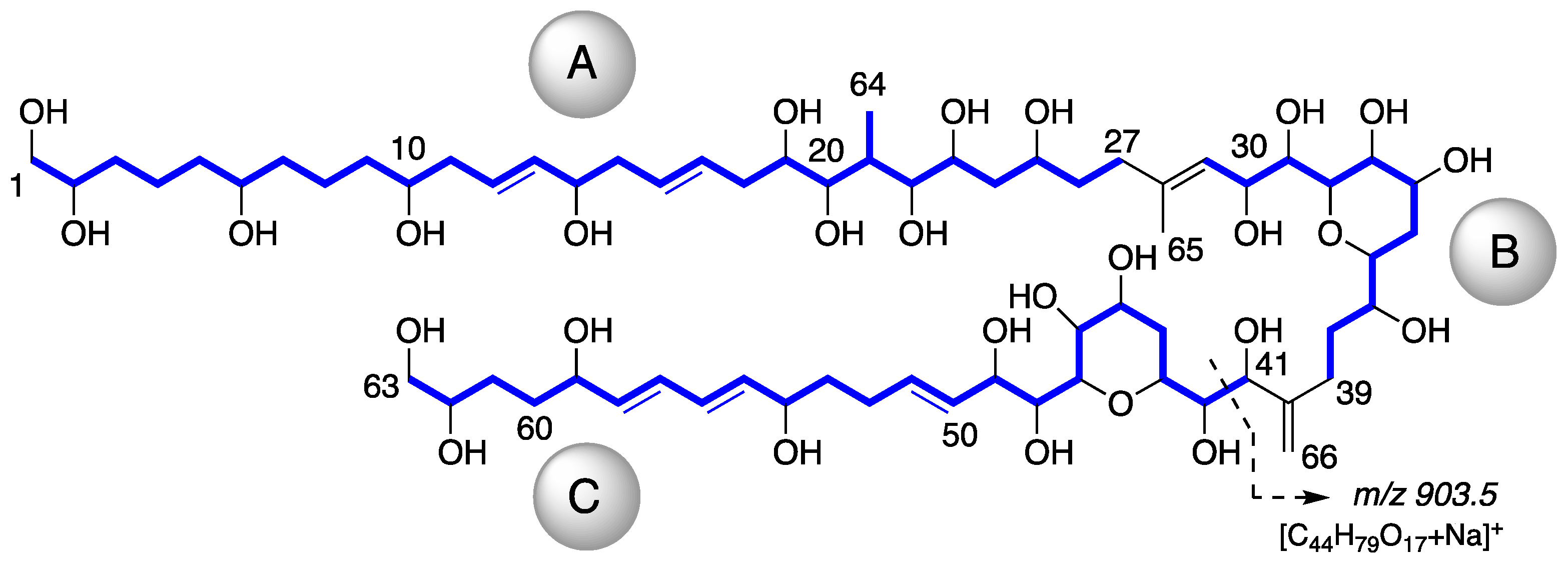 Marinedrugs 19 00432 g002 550
