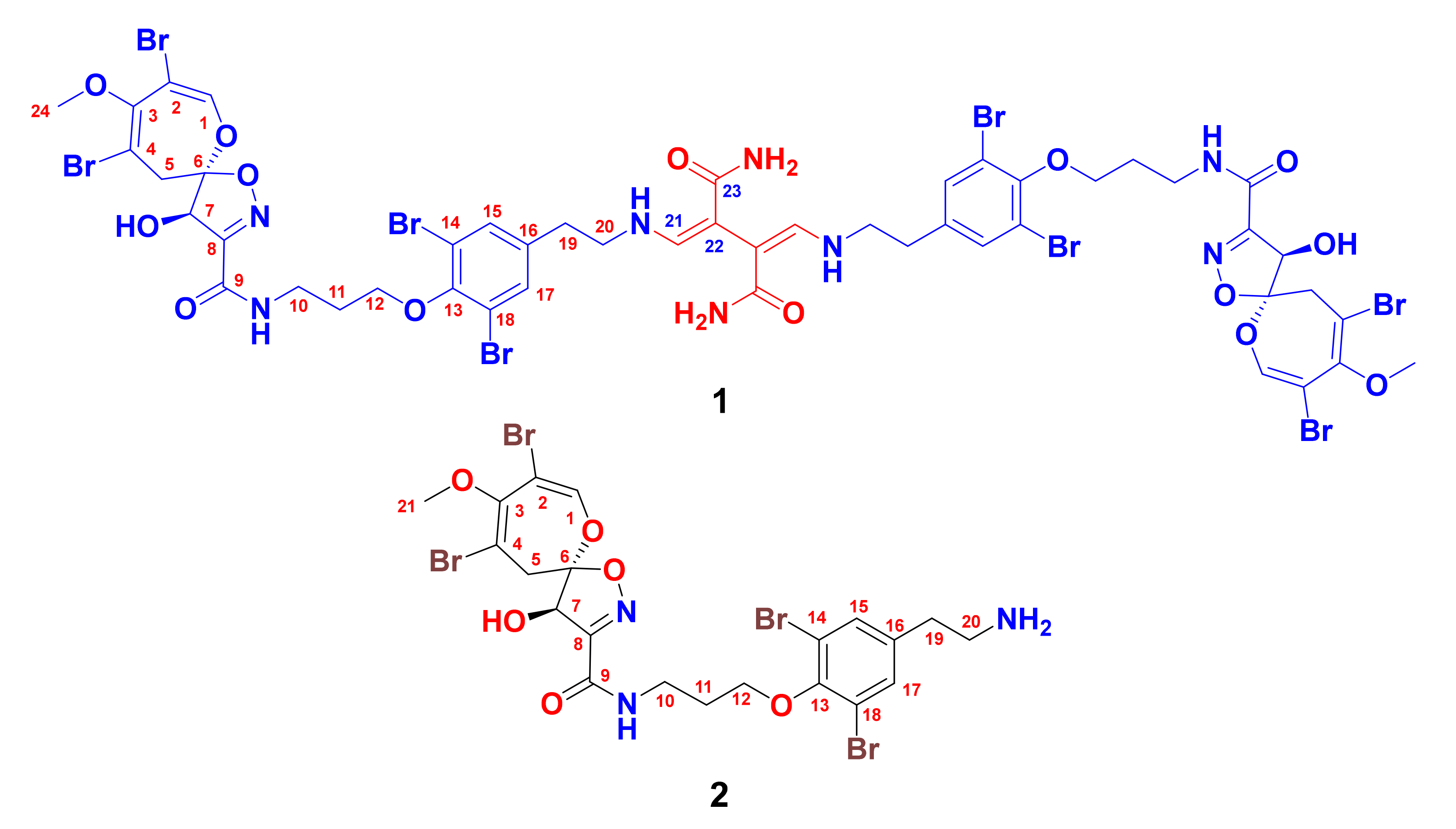 Marinedrugs 19 00433 g001 550