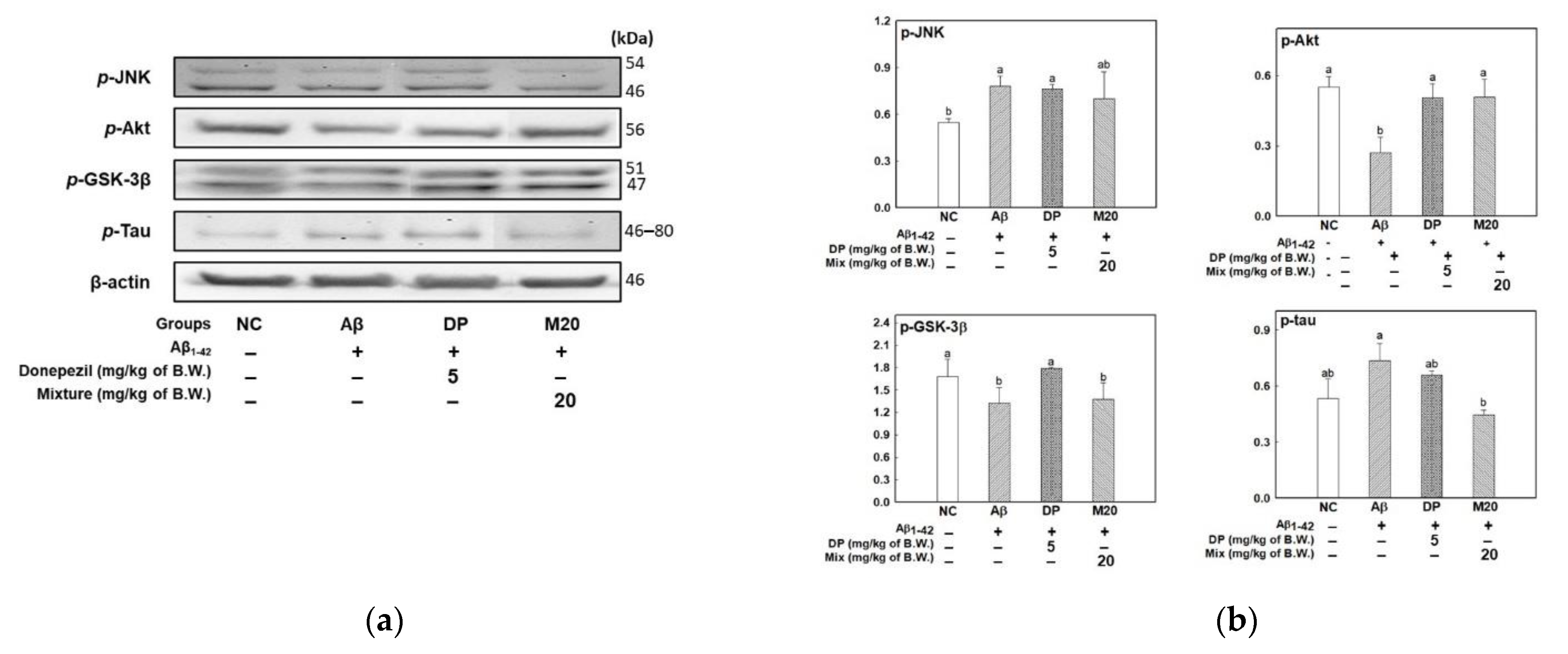 Marinedrugs 19 00434 g004