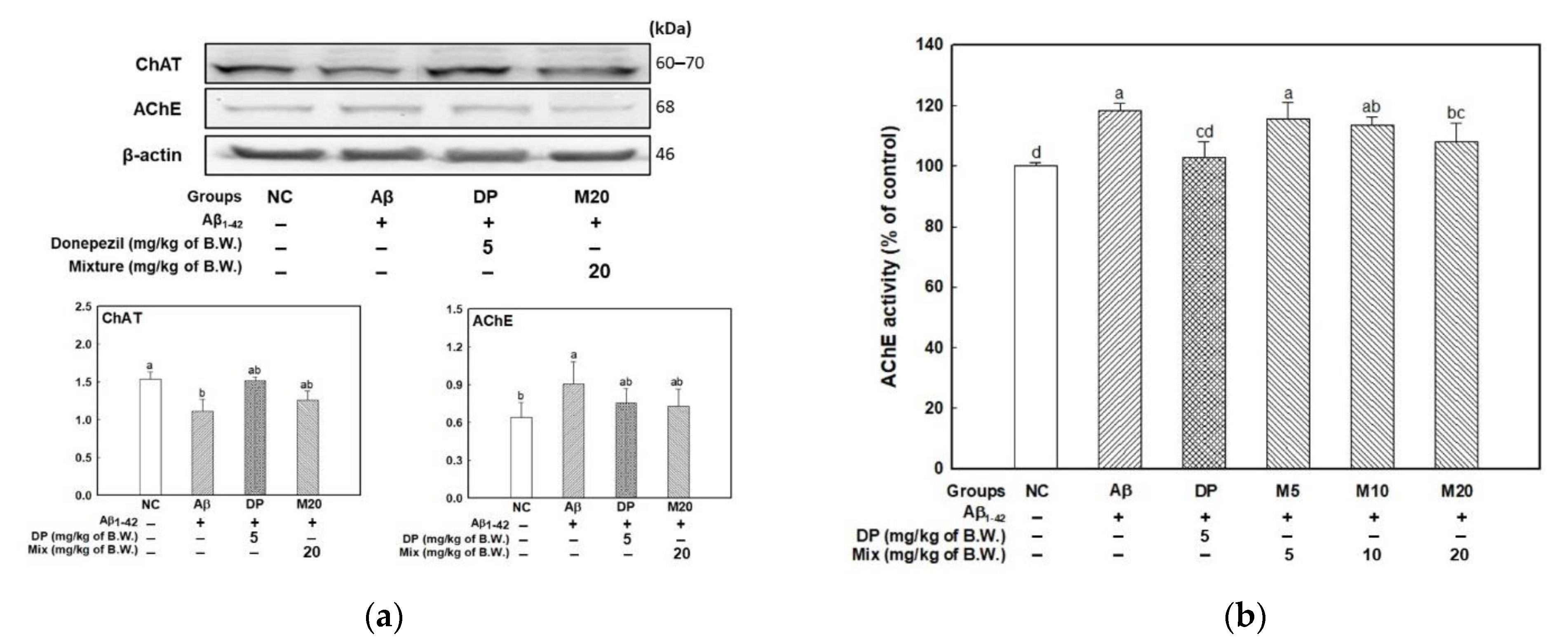 Marinedrugs 19 00434 g005a