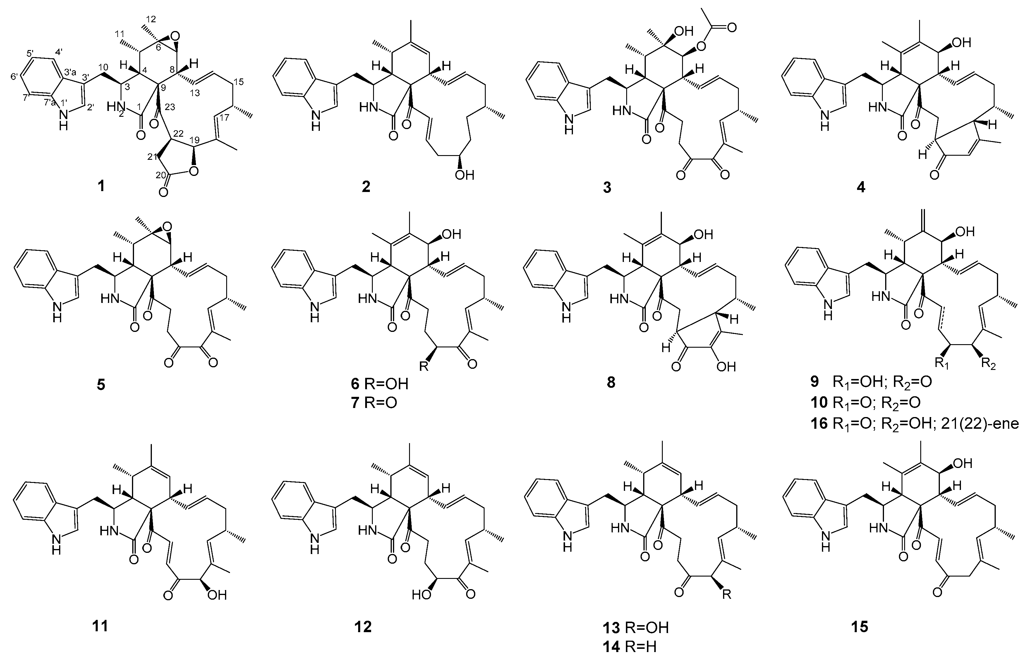 Marinedrugs 19 00438 g001