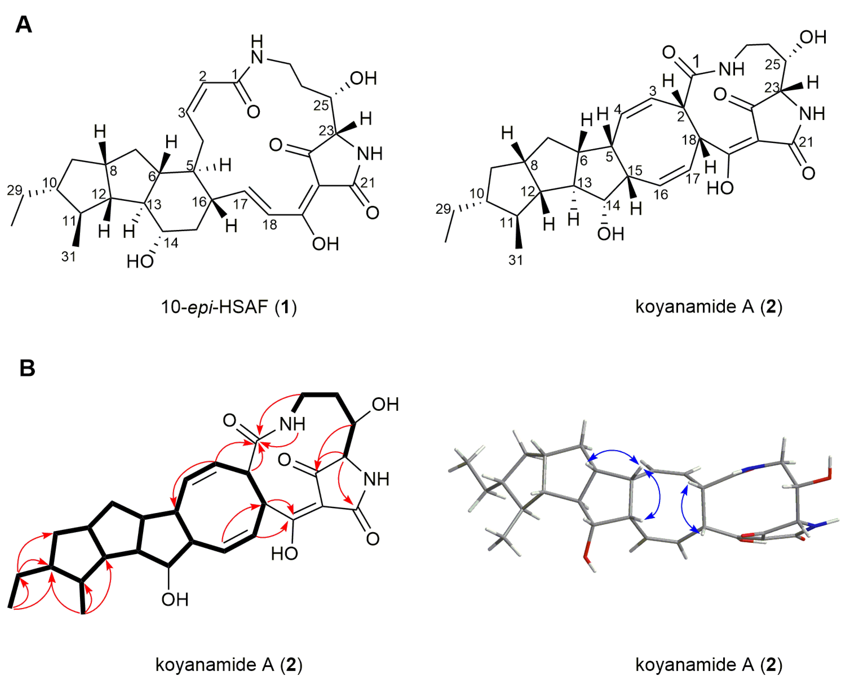 Marinedrugs 19 00440 g003 550