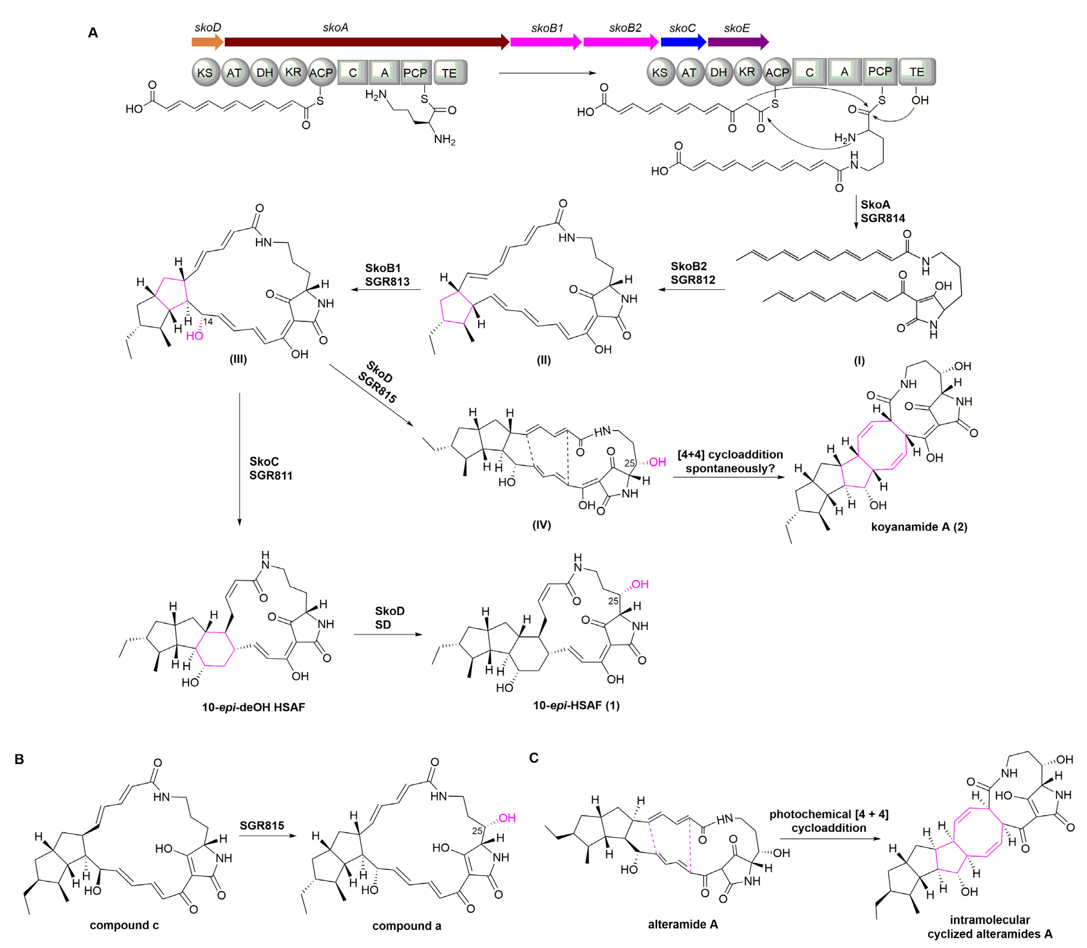 Marinedrugs 19 00440 g004 550