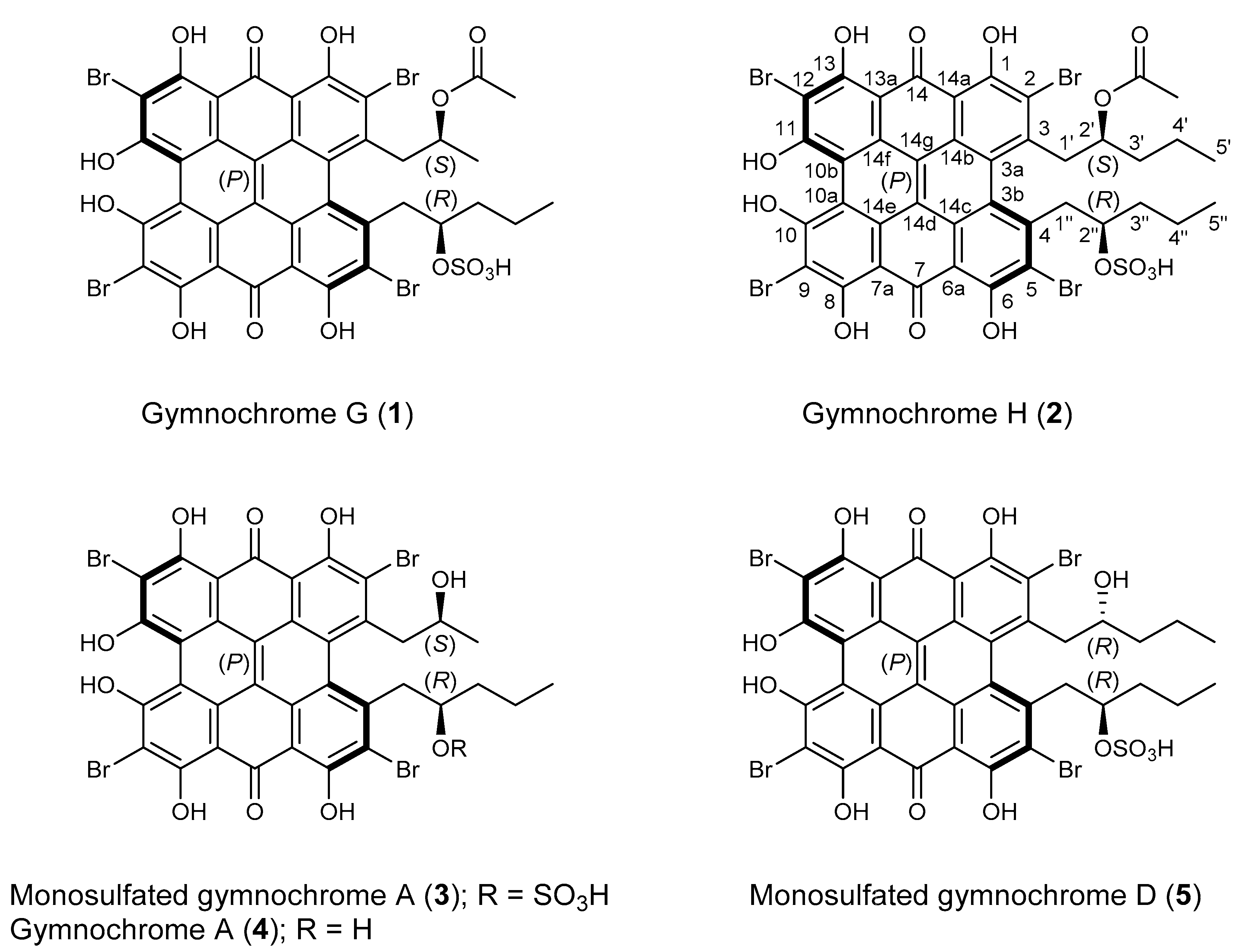 Marine Drugs Free Full Text Structure And Absolute Configuration Of Phenanthro Perylene Quinone Pigments From The Deep Sea Crinoid Hypalocrinus Naresianus Html Marine Drugs Free Full Text Structure And Absolute Configuration Of Phenanthro Perylene Quinone Pigments From The Deep Sea Crinoid Hypalocrinus Naresianus Html
