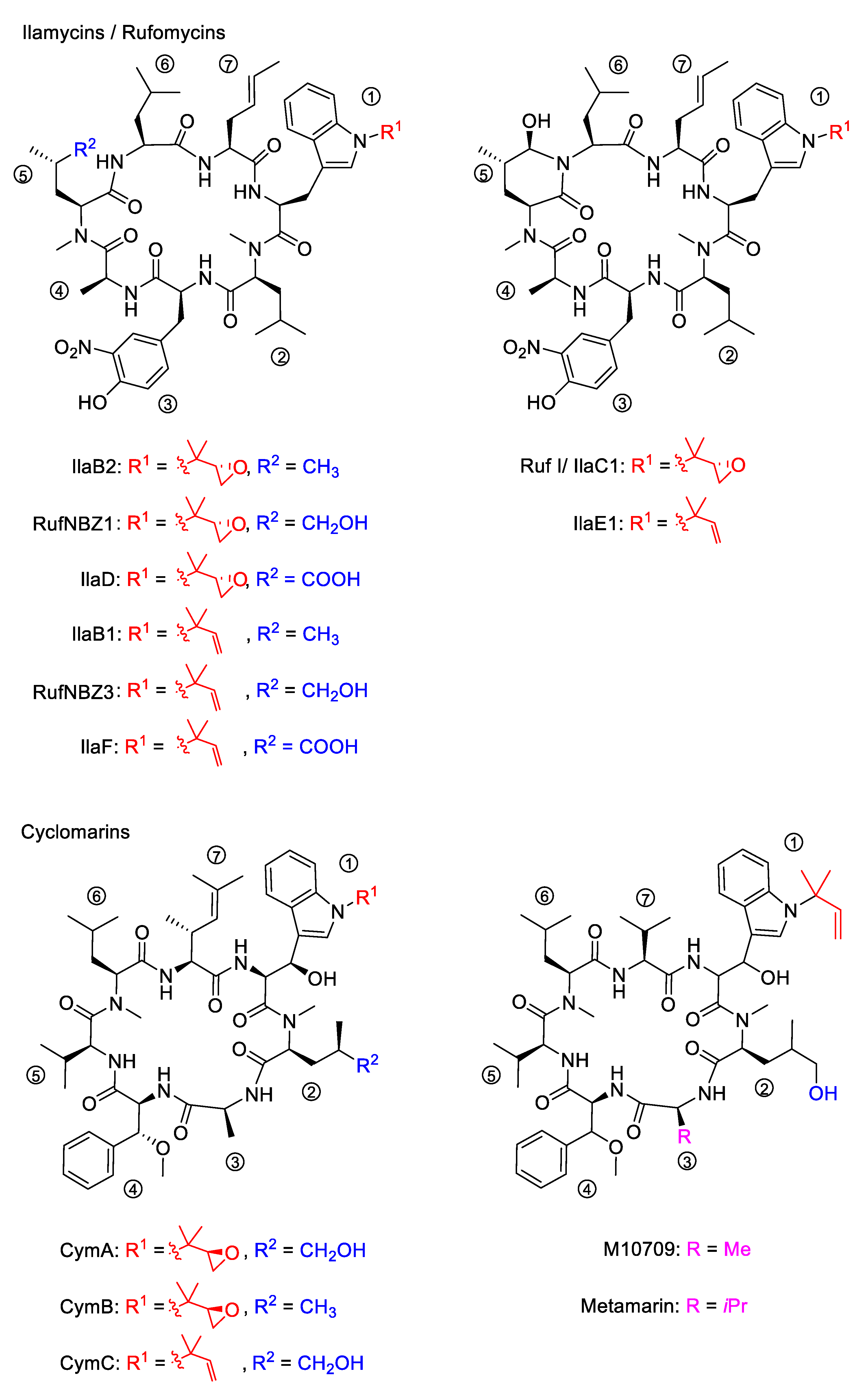 Marinedrugs 19 00446 g001 Marinedrugs 19 00446 g001