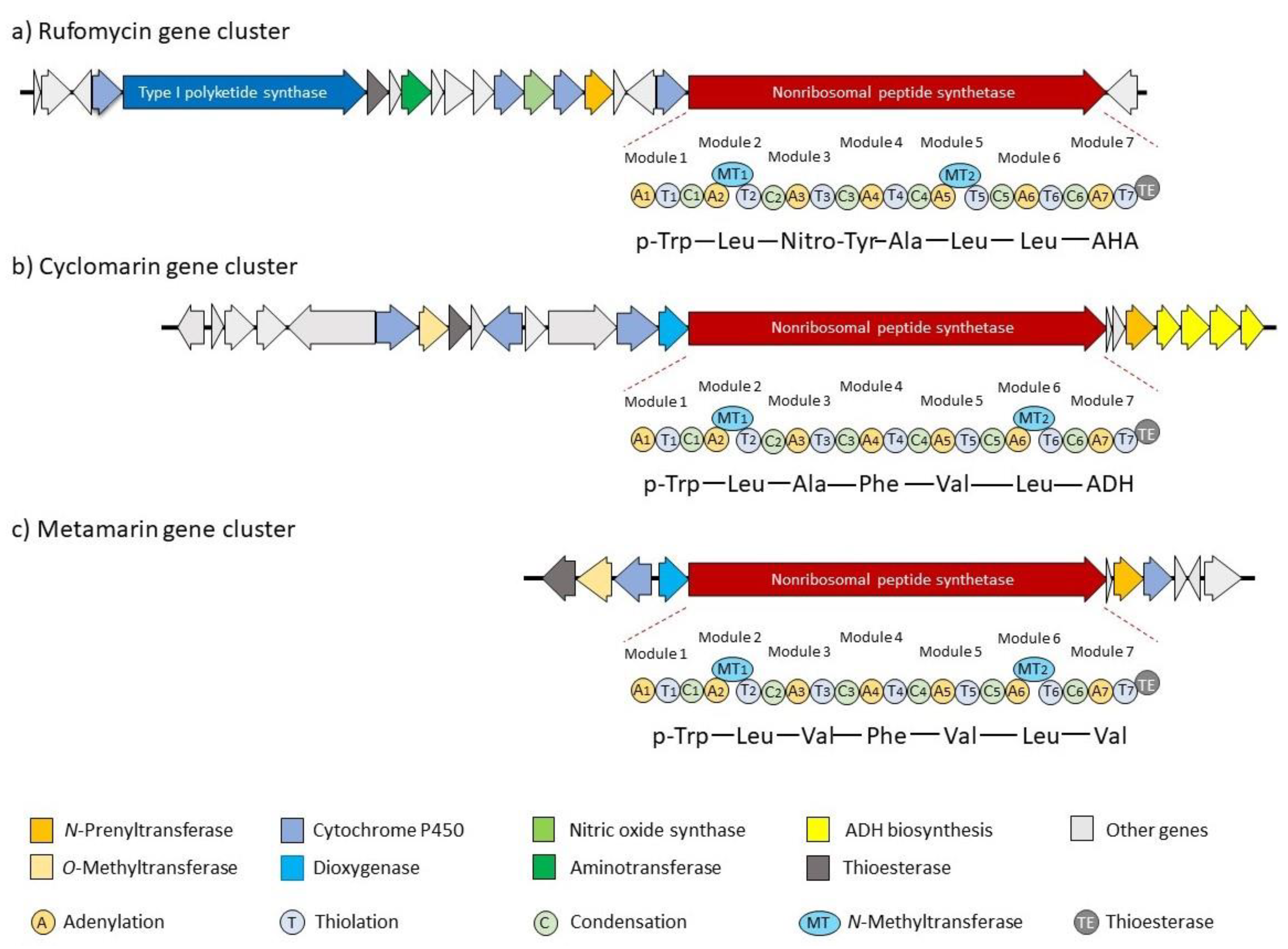 Marinedrugs 19 00446 g002 Marinedrugs 19 00446 g002