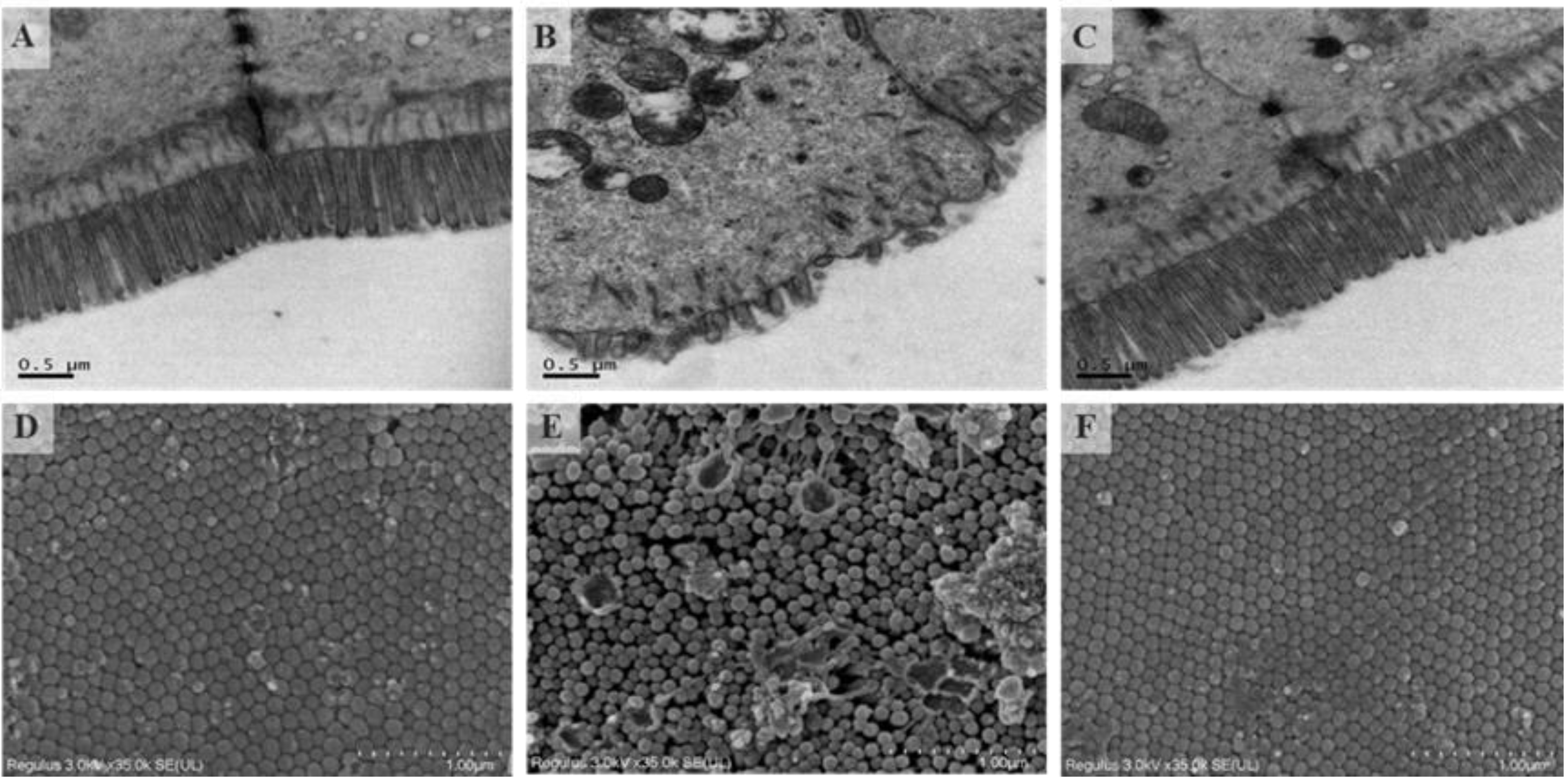 Marinedrugs 19 00456 g002