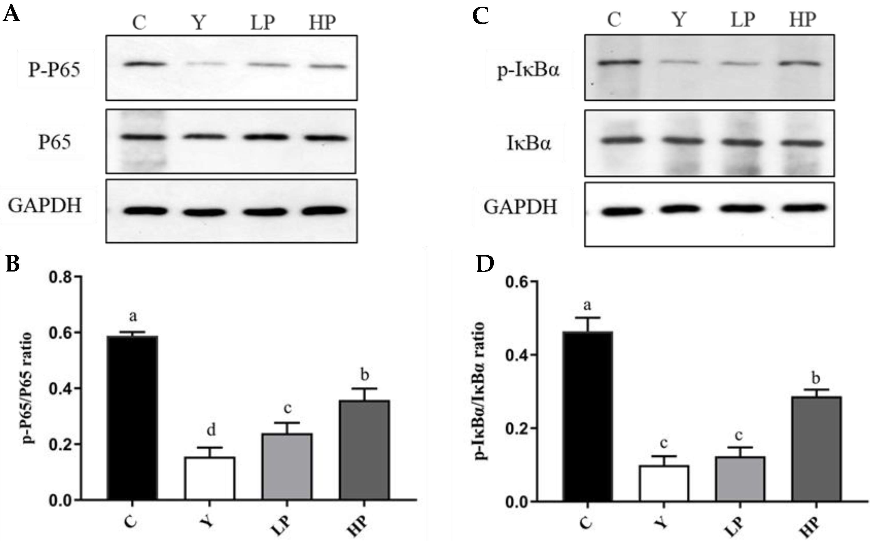 Marinedrugs 19 00456 g007