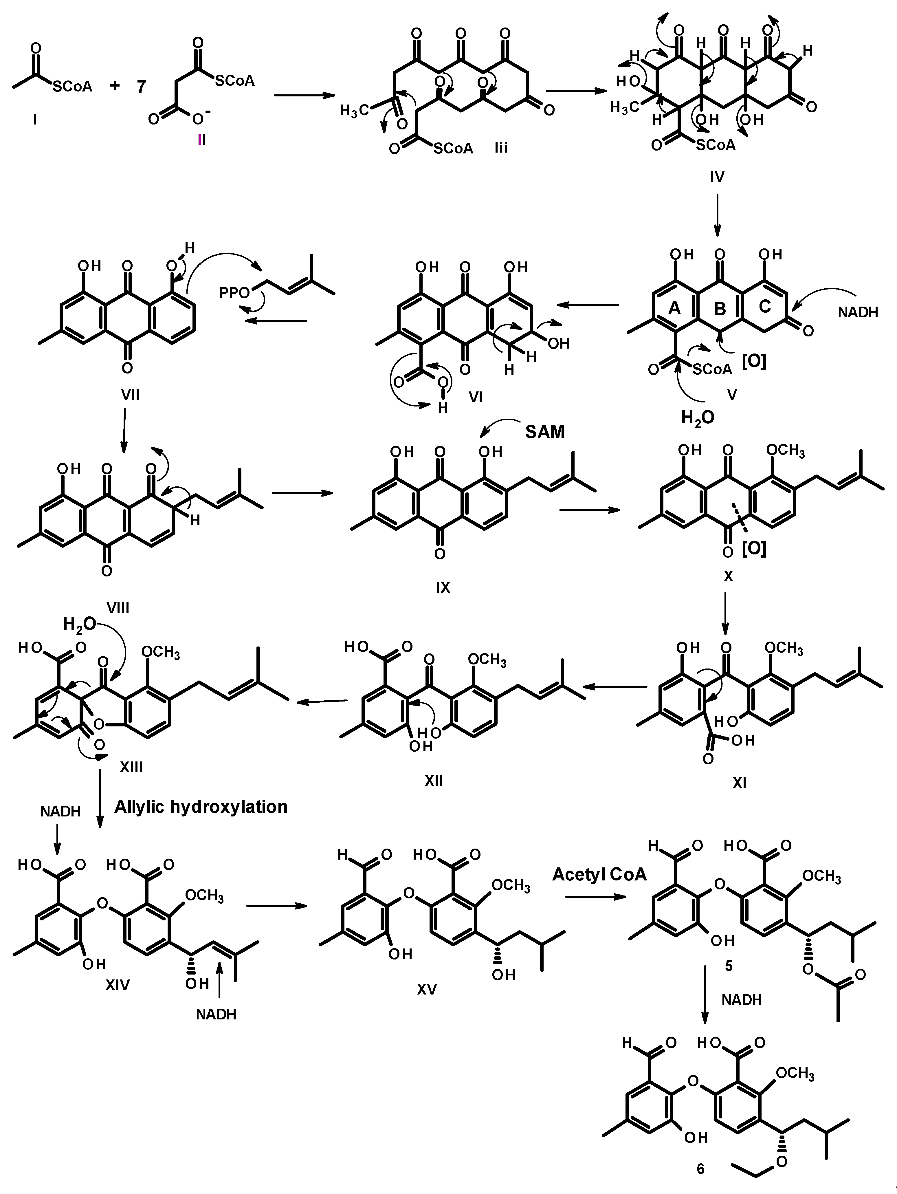 Marinedrugs 19 00457 g006 550