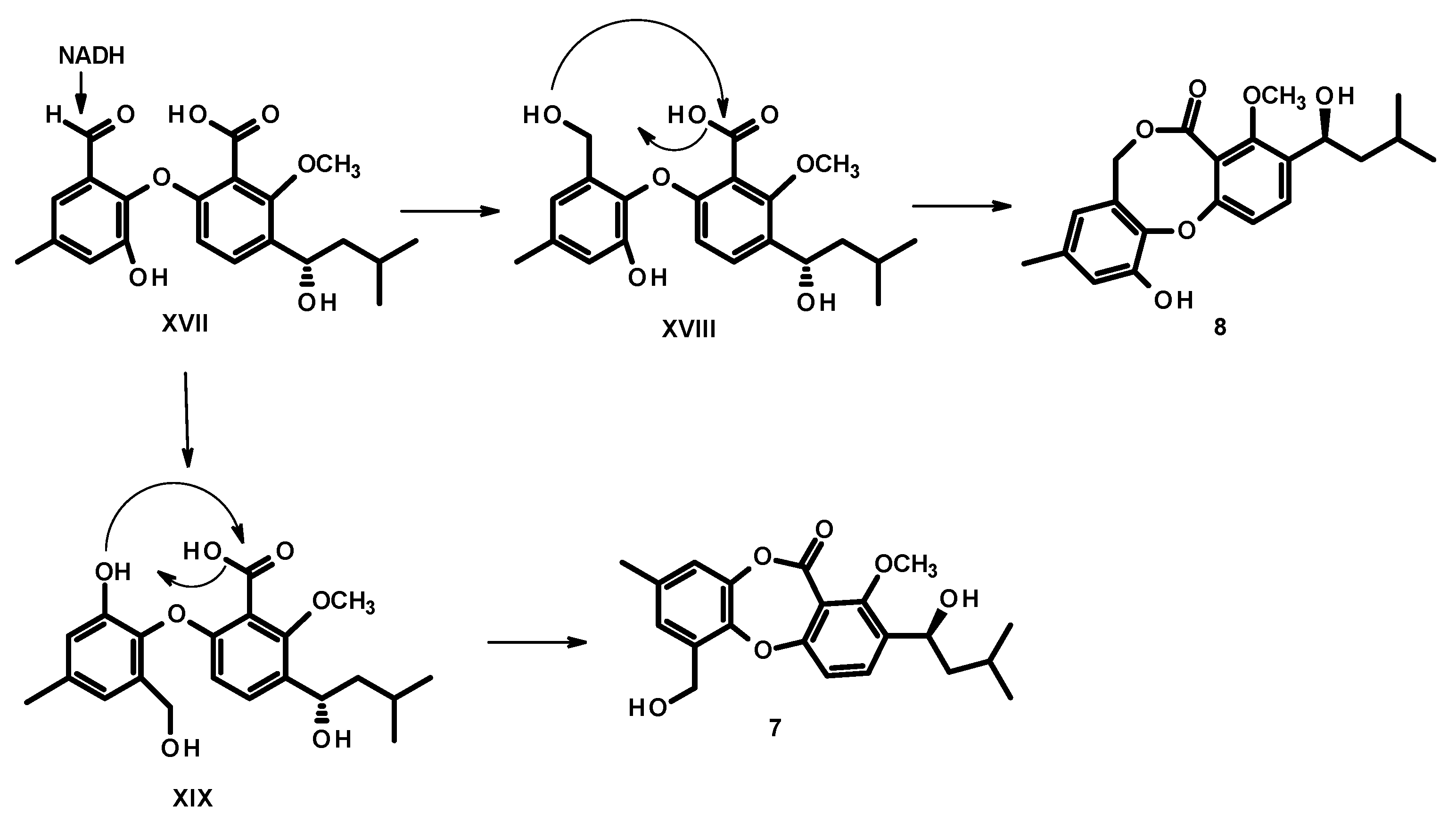 Marinedrugs 19 00457 g007 550